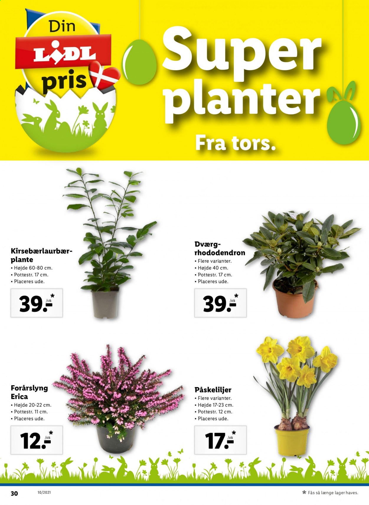 Lidl tilbud - 7.3.2021 - 13.3.2021. Side 44