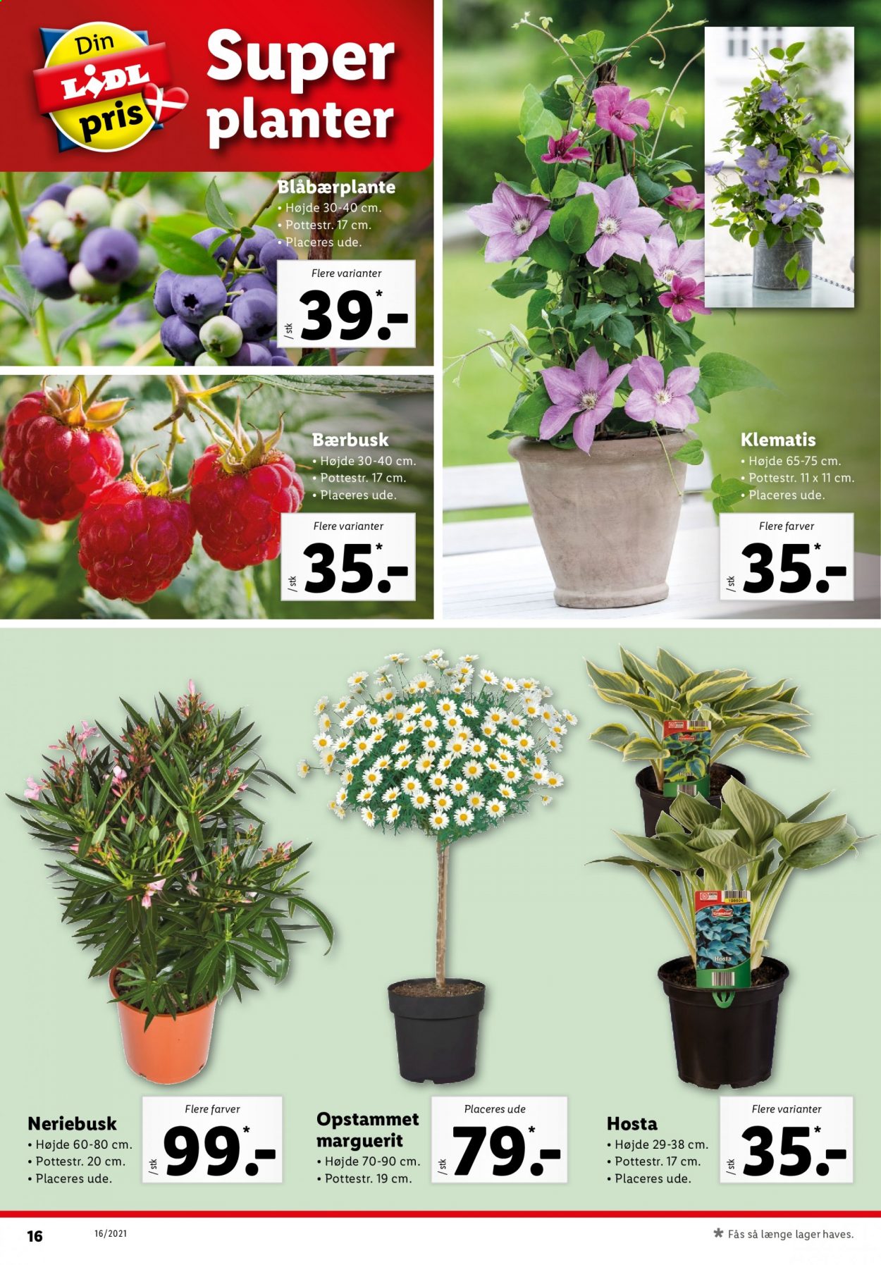 Lidl tilbud - 18.4.2021 - 24.4.2021. Side 16