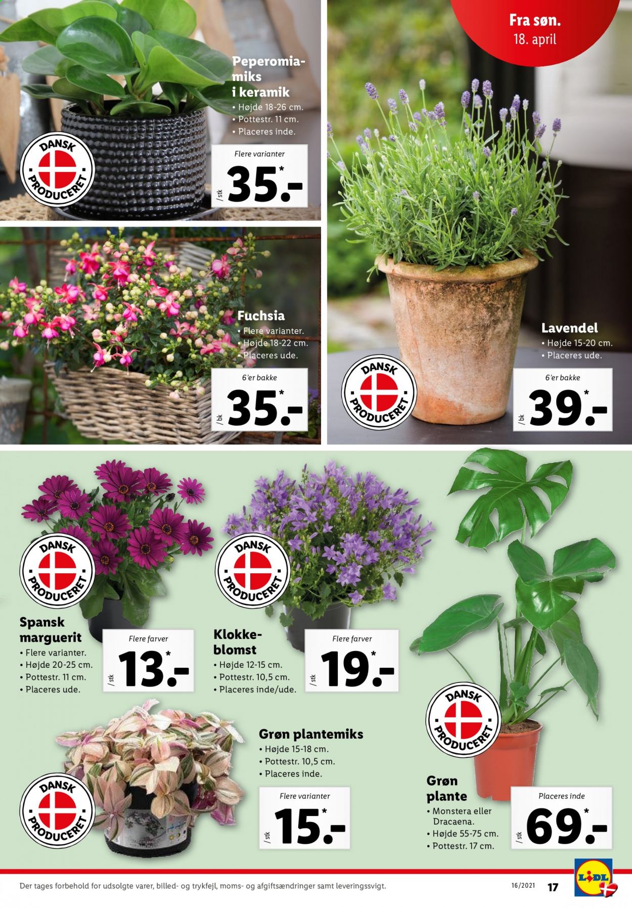 Lidl tilbud - 18.4.2021 - 24.4.2021. Side 17