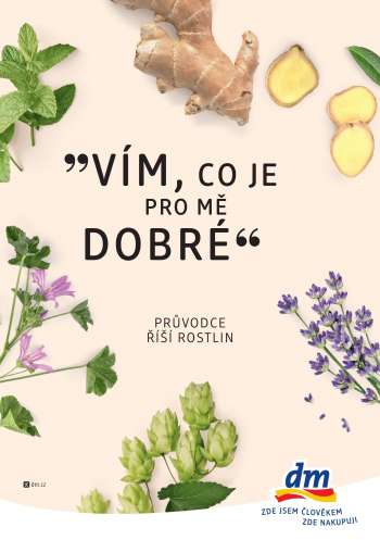 Leták dm drogerie.