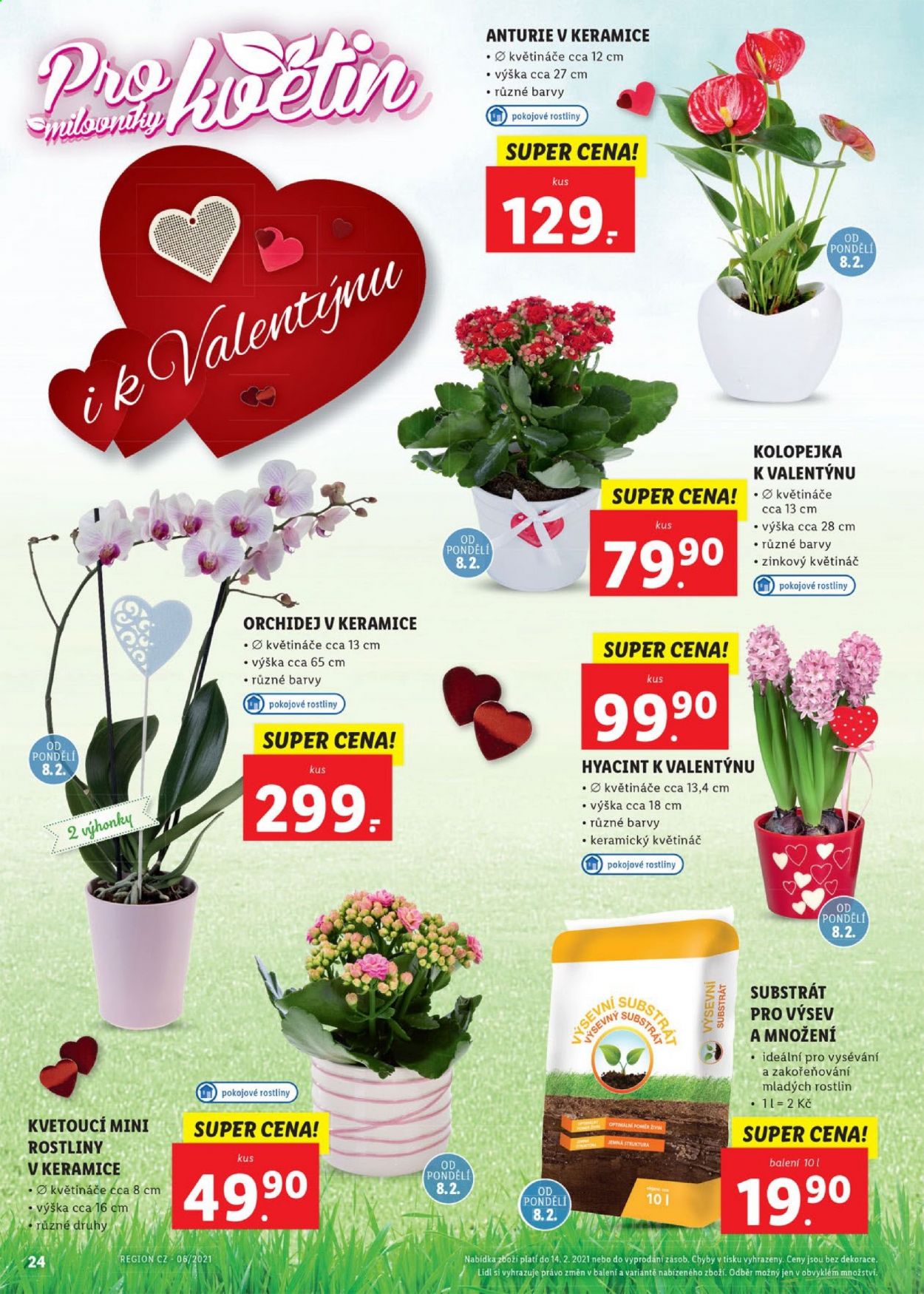 Leták Lidl - 8.2.2021 - 14.2.2021. Strana 24