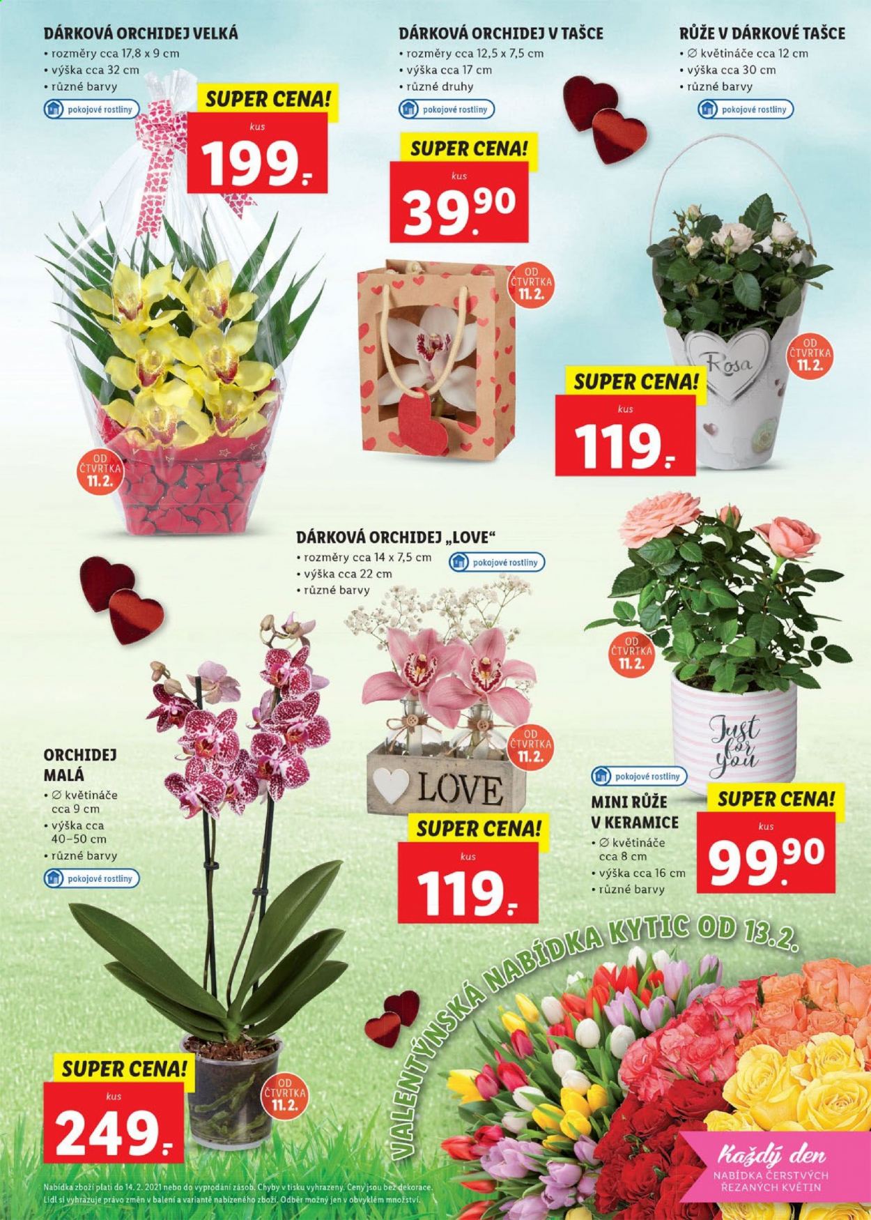 Leták Lidl - 8.2.2021 - 14.2.2021. Strana 25