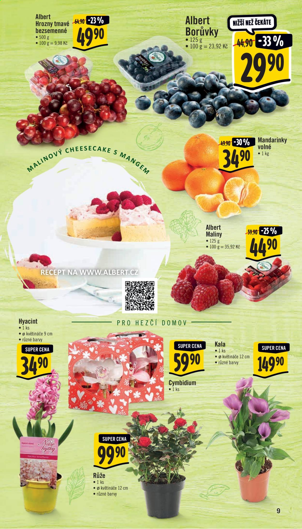 Leták Albert Supermarket - 10.2.2021 - 16.2.2021. Strana 9