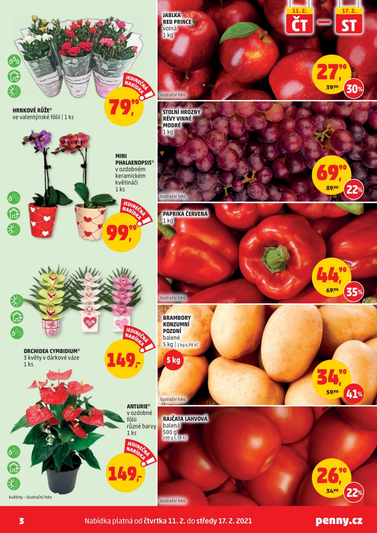 thumbnail - Leták PENNY - 11.2.2021 - 17.2.2021 - Produkty v akci - rajčata, brambory, paprika, červená paprika, jablka, hrozny, orchidea, růže, anturie. Strana 3.