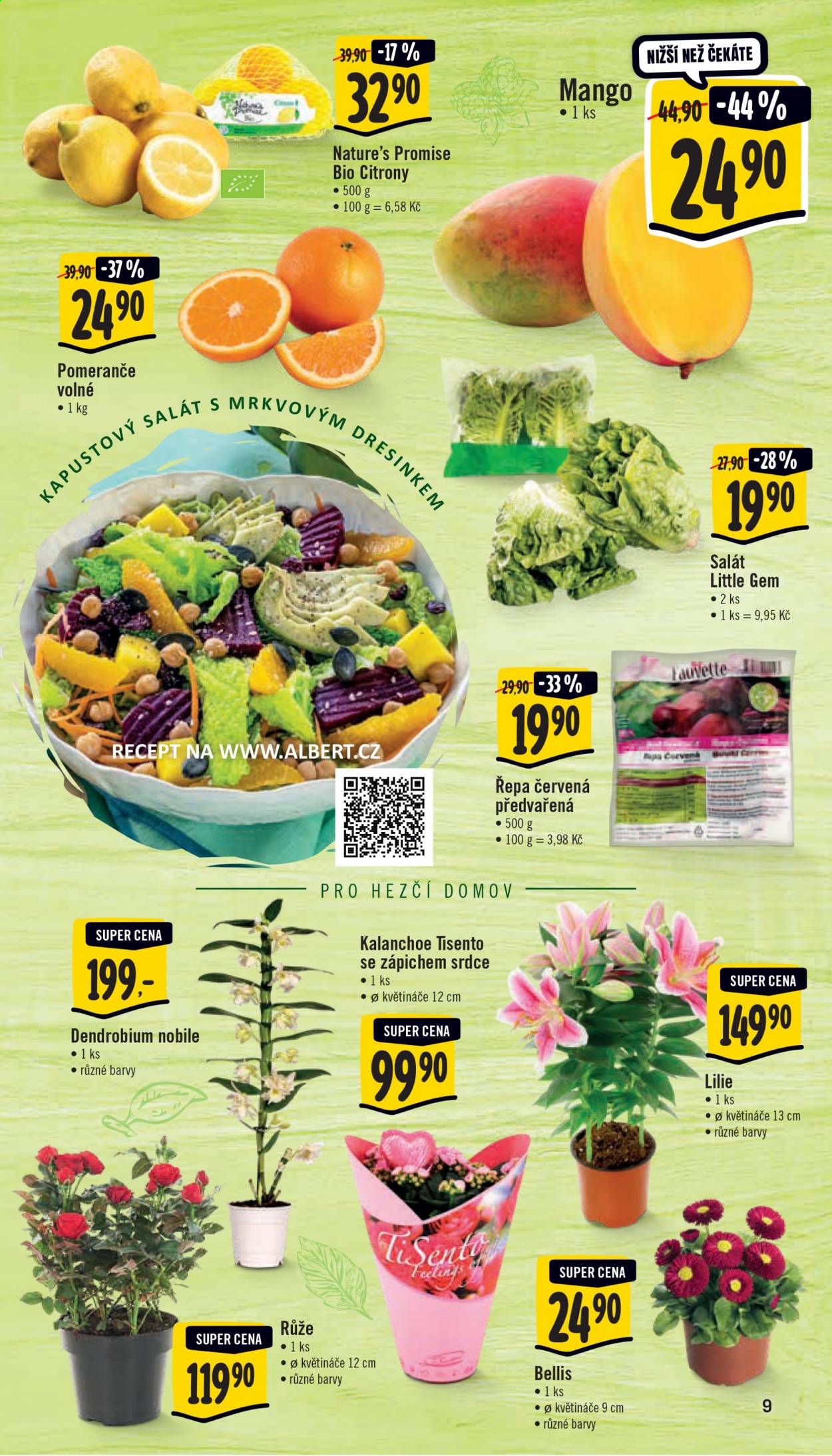 Leták Albert Supermarket - 3.3.2021 - 9.3.2021. Strana 9