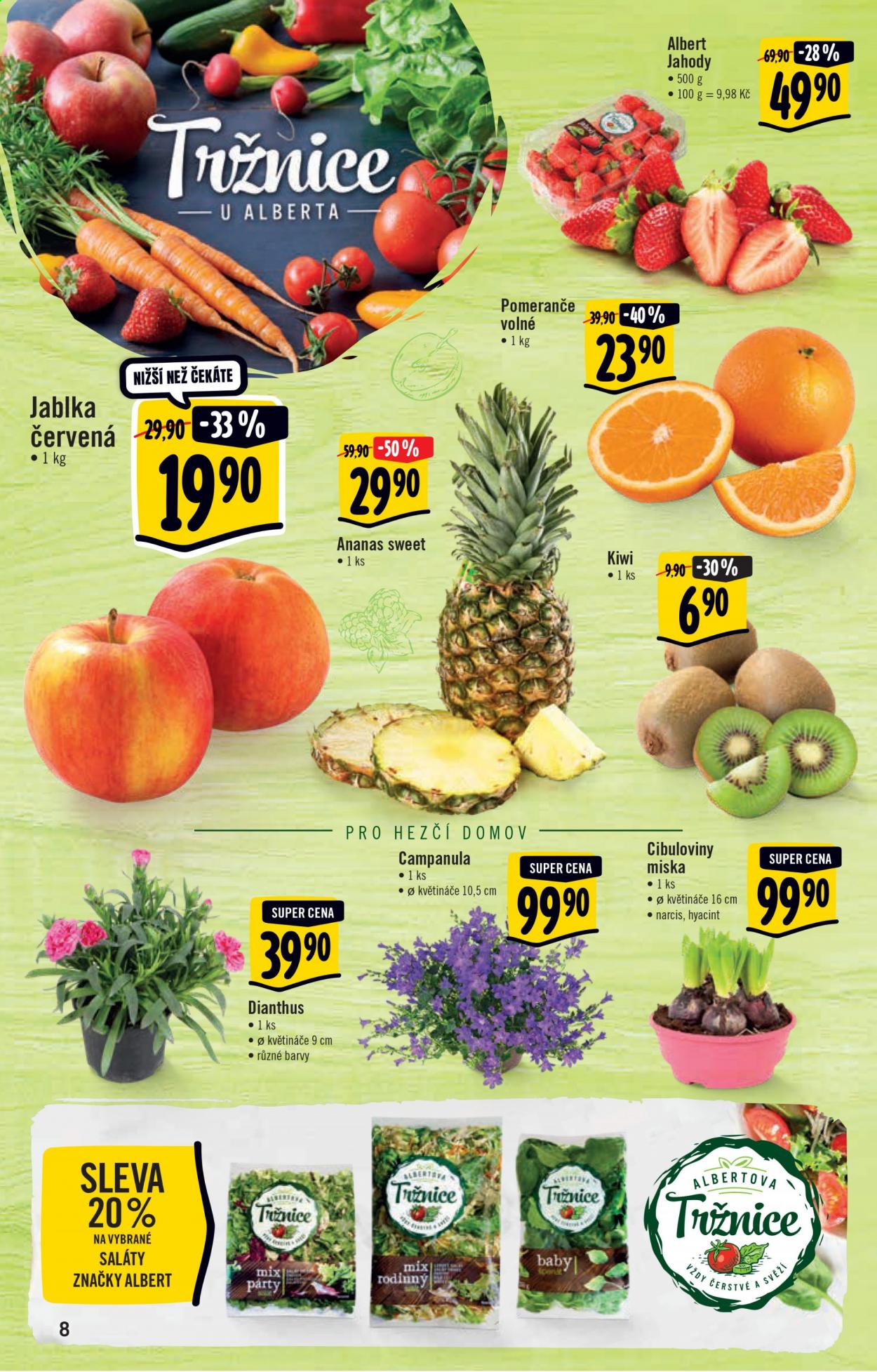 Leták Albert Hypermarket - 10.3.2021 - 16.3.2021. Strana 8