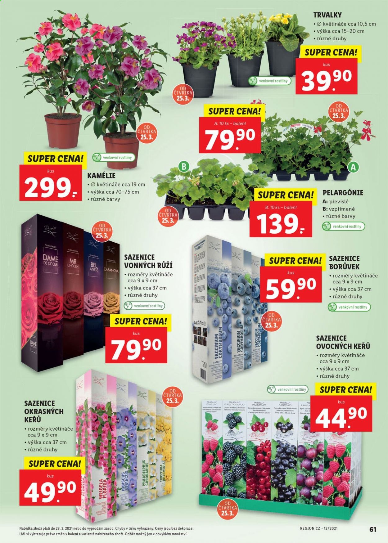 Leták Lidl - 22.3.2021 - 28.3.2021. Strana 61