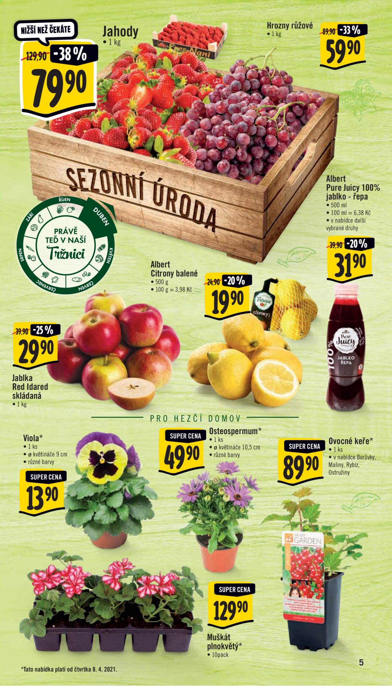 Leták Albert Supermarket - 7.4.2021 - 13.4.2021. Strana 5