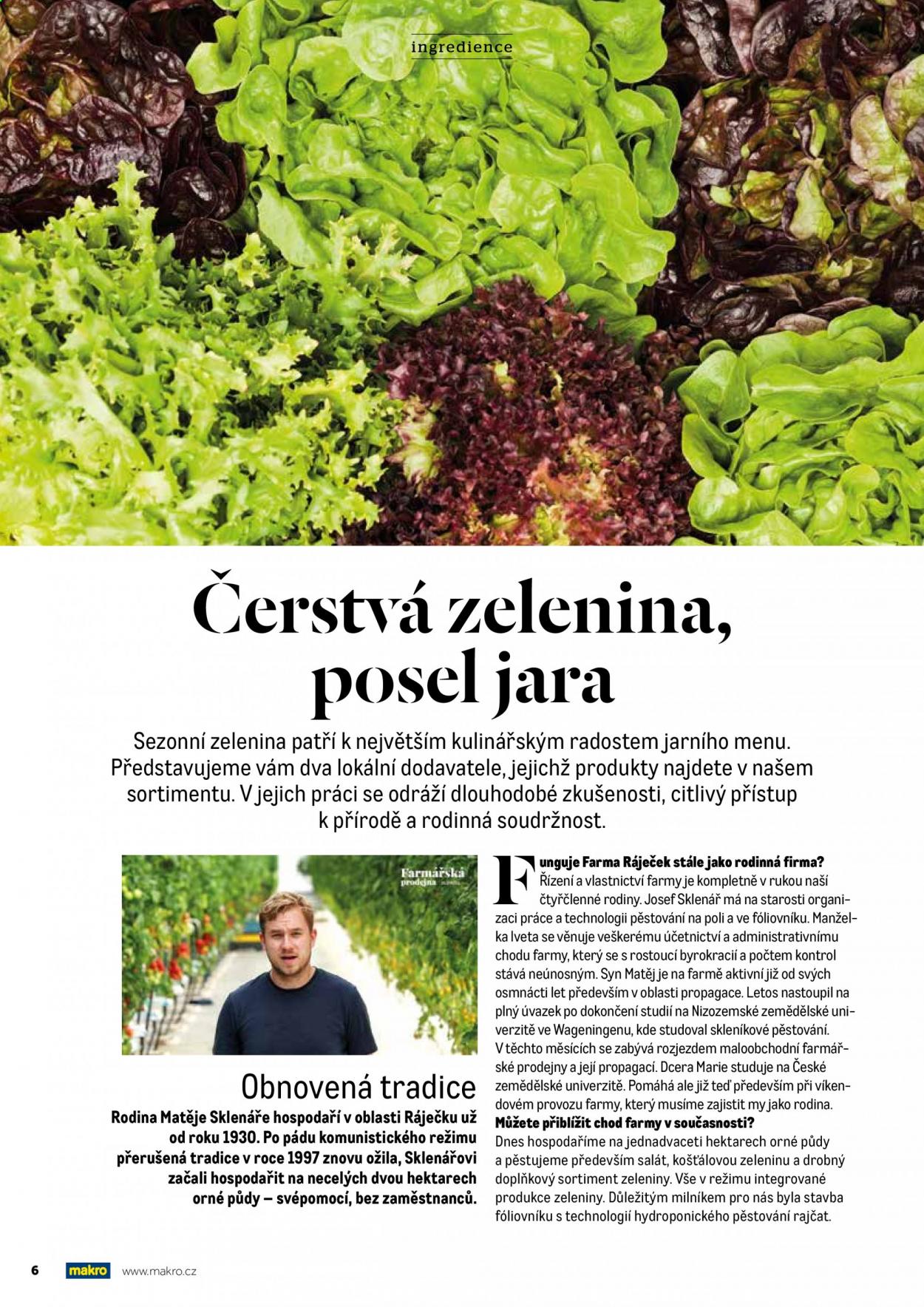 Leták MAKRO. Strana 8
