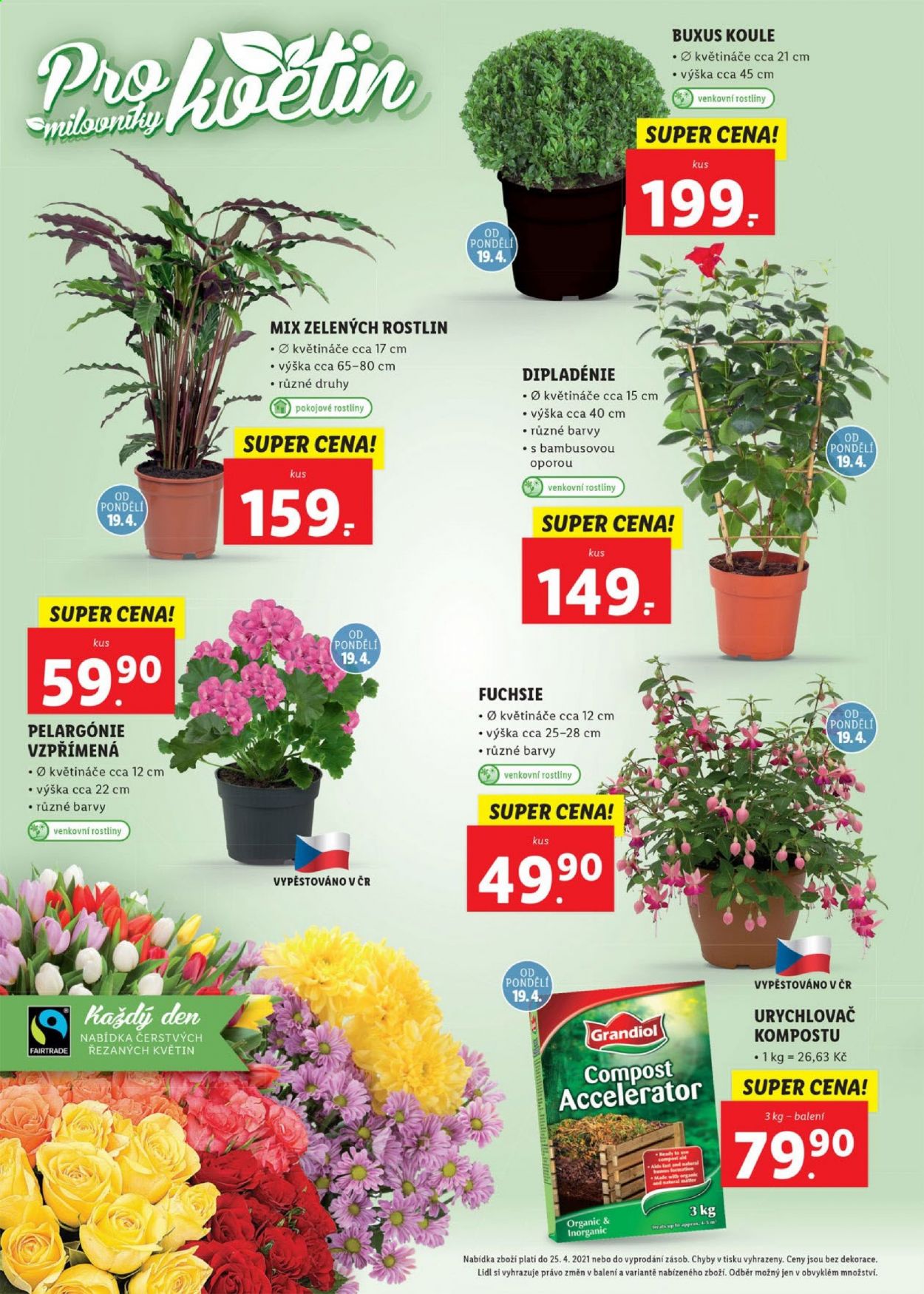 Leták Lidl - 19.4.2021 - 25.4.2021. Strana 26