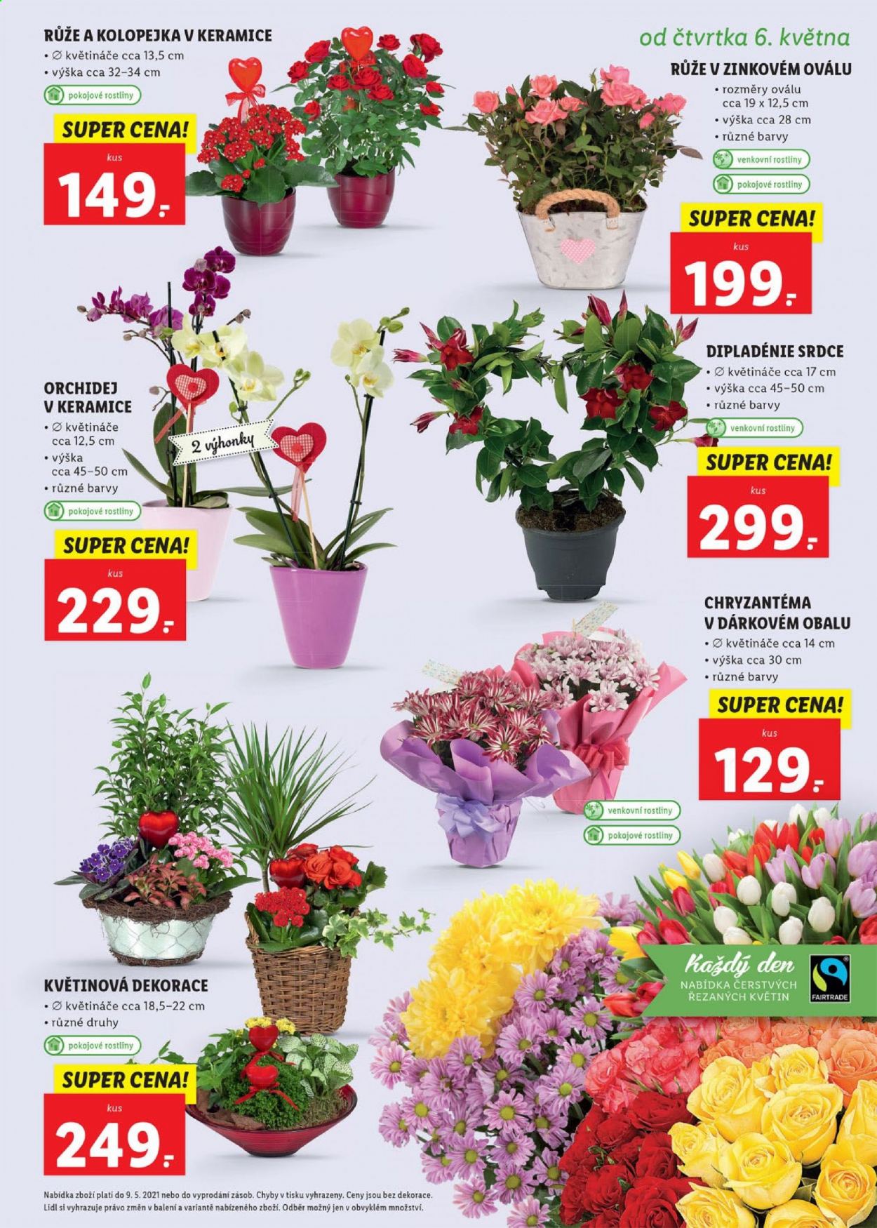 Leták Lidl - 3.5.2021 - 9.5.2021. Strana 47