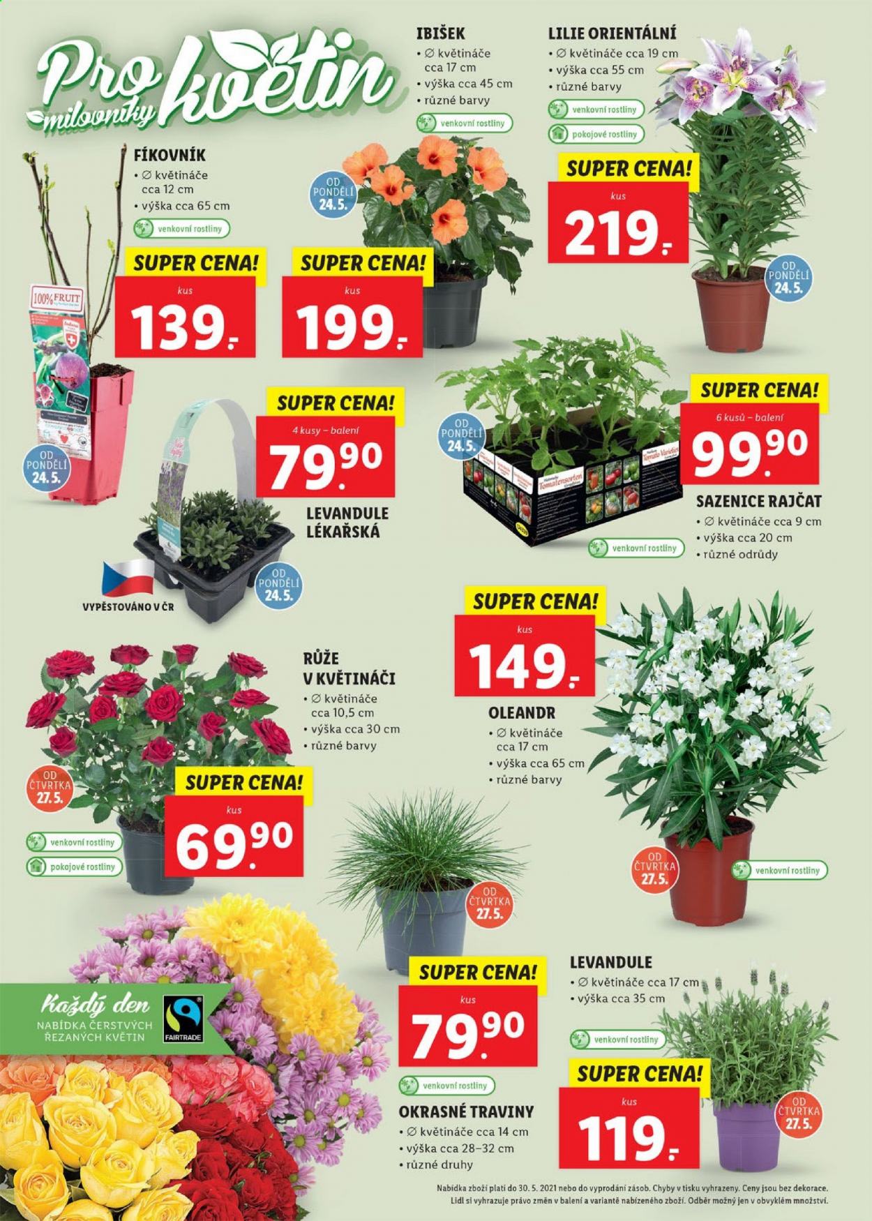 Leták Lidl - 24.5.2021 - 30.5.2021. Strana 6