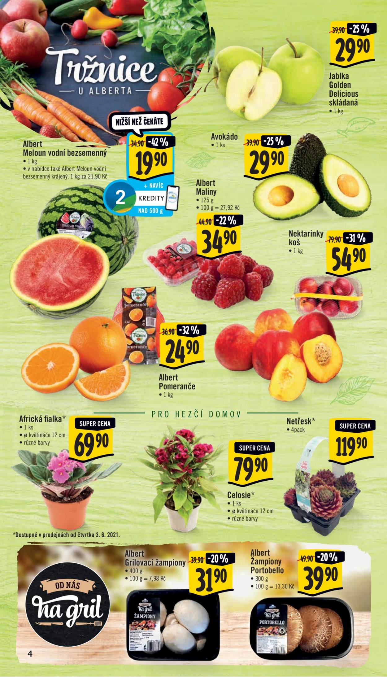 thumbnail - Leták Albert Supermarket - 2.6.2021 - 8.6.2021 - Produkty v akci - fialka, celosia, nektarinky, pomeranče, portobello, žampiony, Golden delicious, jablka, meloun, netřesk, avokádo, maliny. Strana 4.