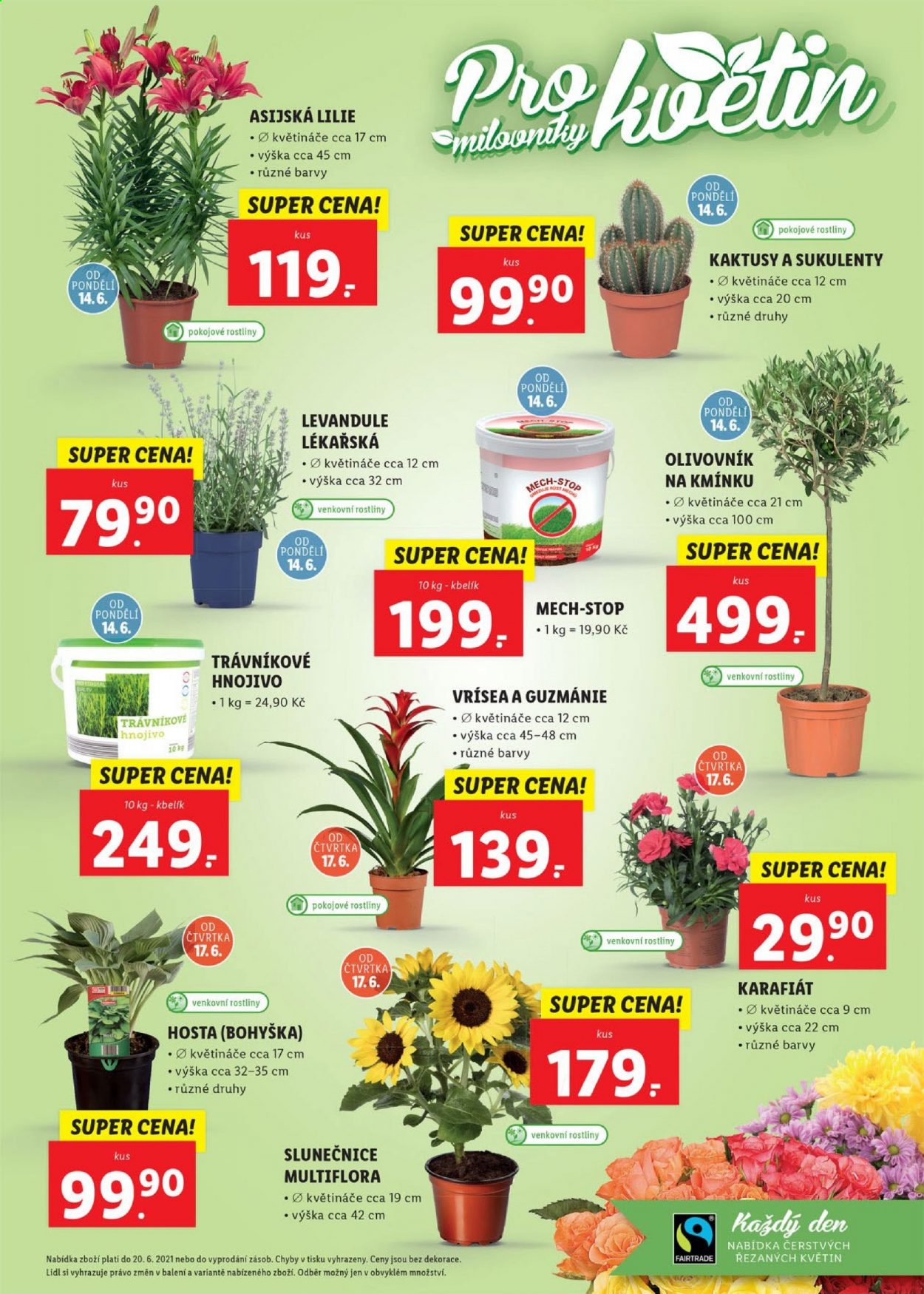 Leták Lidl - 14.6.2021 - 20.6.2021. Strana 7