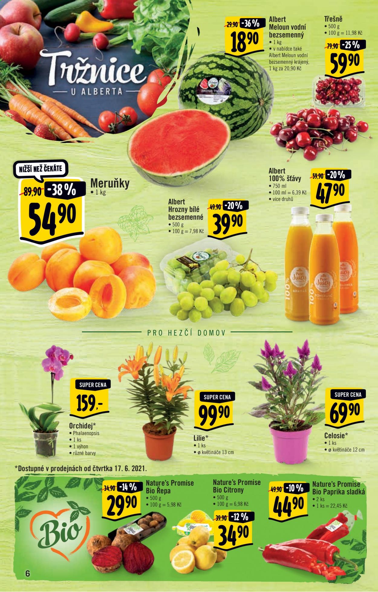 Leták Albert Hypermarket - 16.6.2021 - 22.6.2021. Strana 6