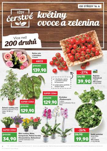 thumbnail - Mini rostliny (Růže, Campanula, Palma horská, Chryzantéma, Kalanchoe) 1 kus