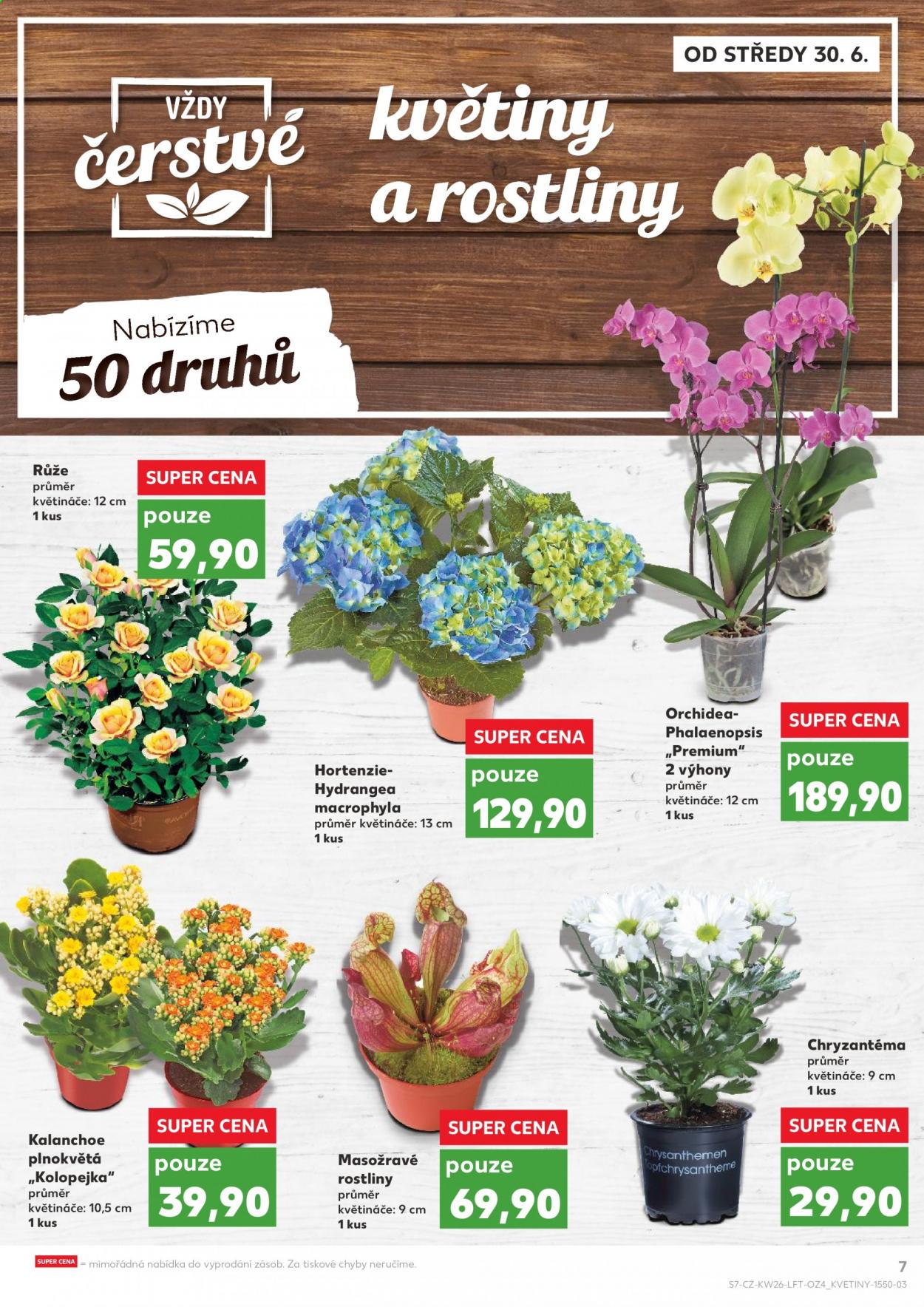 Leták Kaufland - 30.6.2021 - 6.7.2021. Strana 7