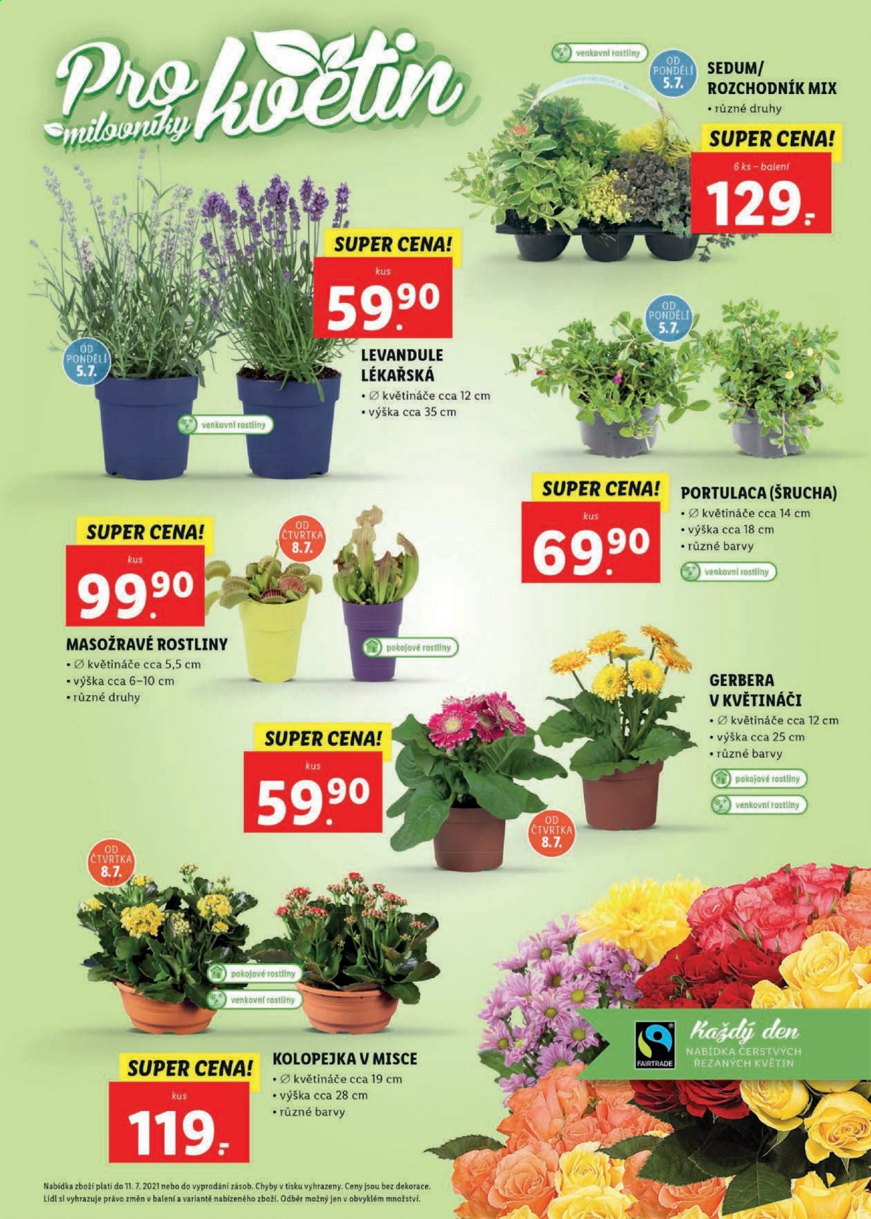 Leták Lidl - 5.7.2021 - 11.7.2021. Strana 33