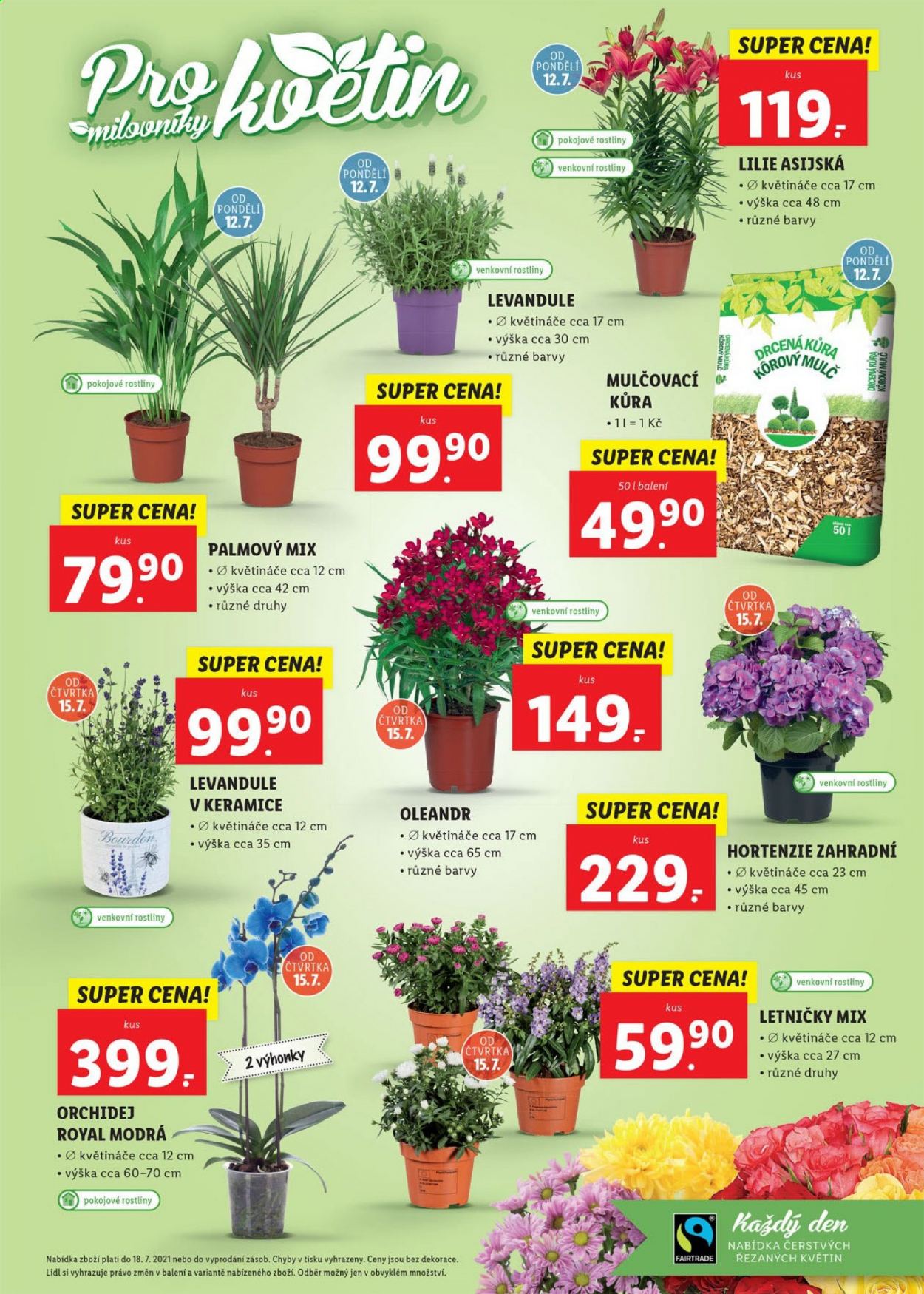 Leták Lidl - 12.7.2021 - 18.7.2021. Strana 25