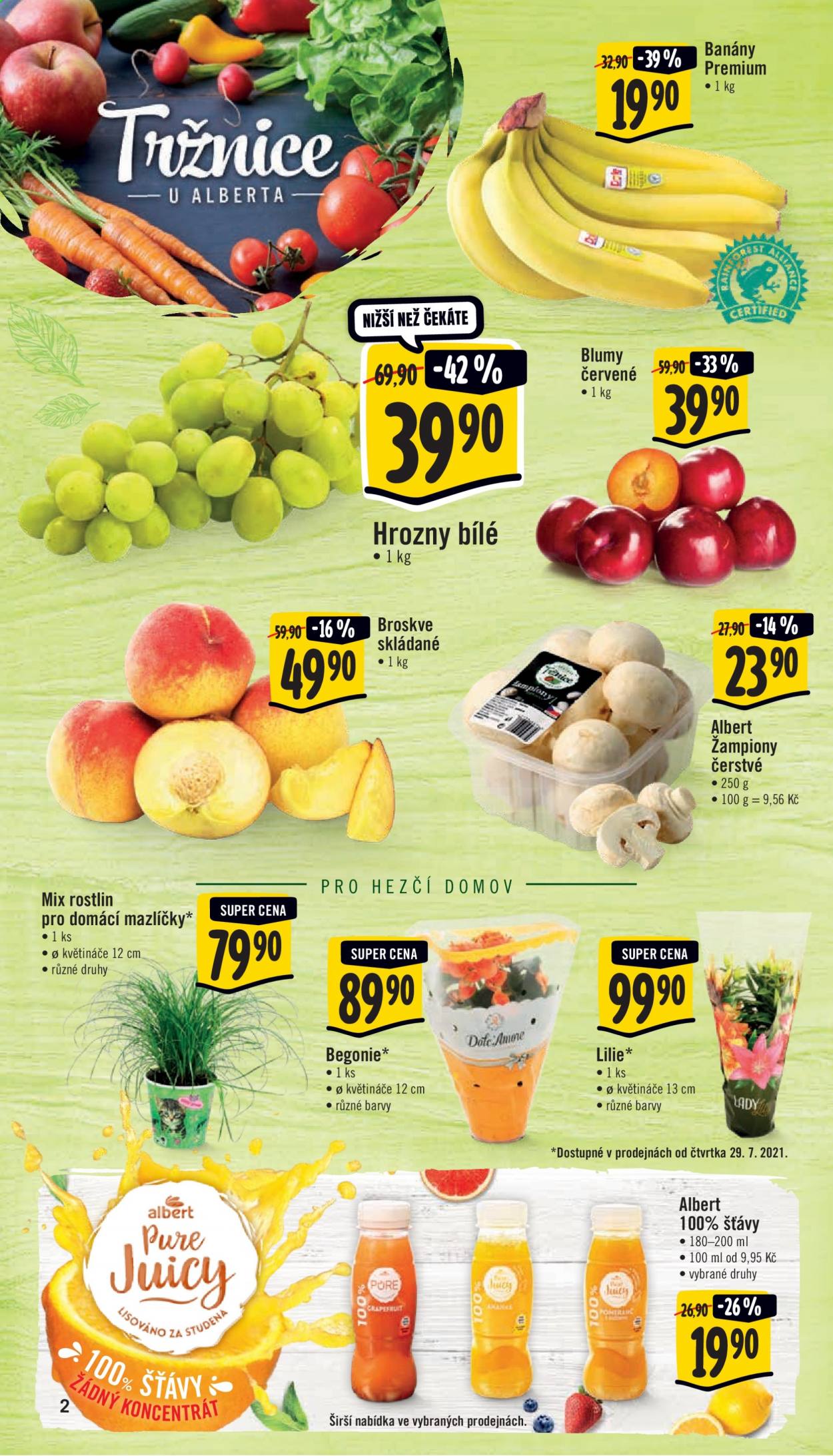 Leták Albert Supermarket - 28.7.2021 - 3.8.2021. Strana 2