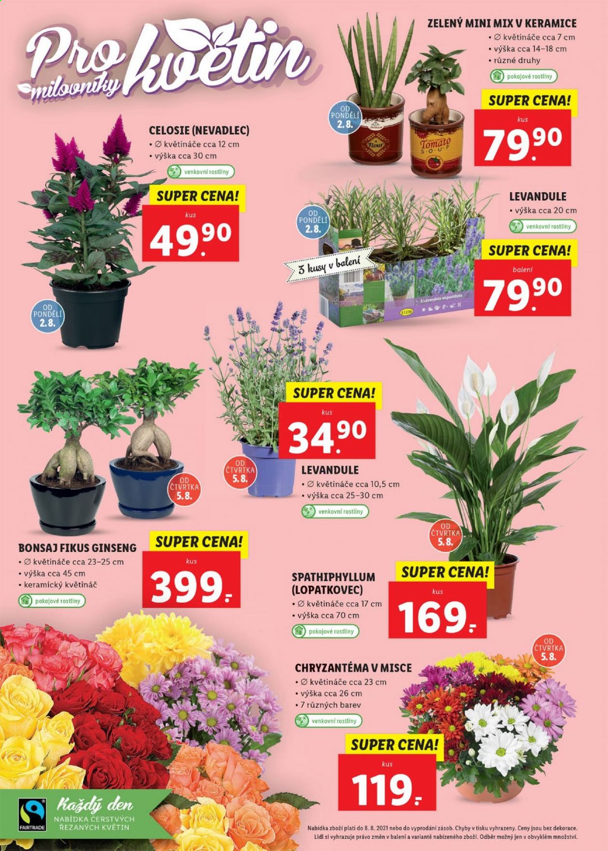 Leták Lidl - 2.8.2021 - 8.8.2021. Strana 64