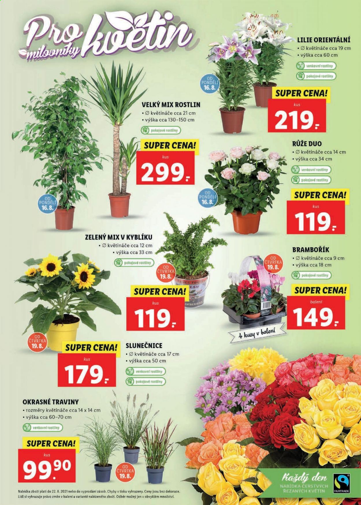 Leták Lidl - 16.8.2021 - 22.8.2021. Strana 7