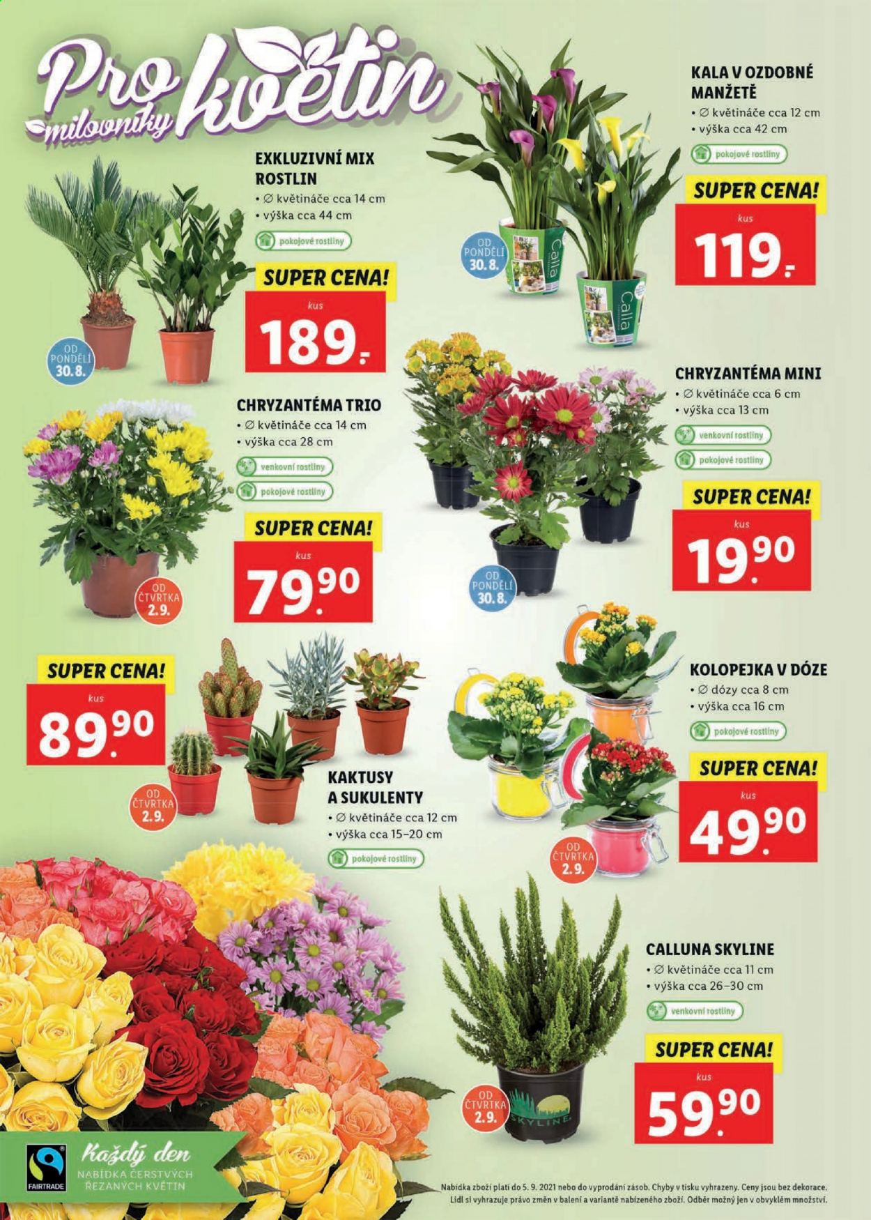 Leták Lidl - 30.8.2021 - 5.9.2021. Strana 46