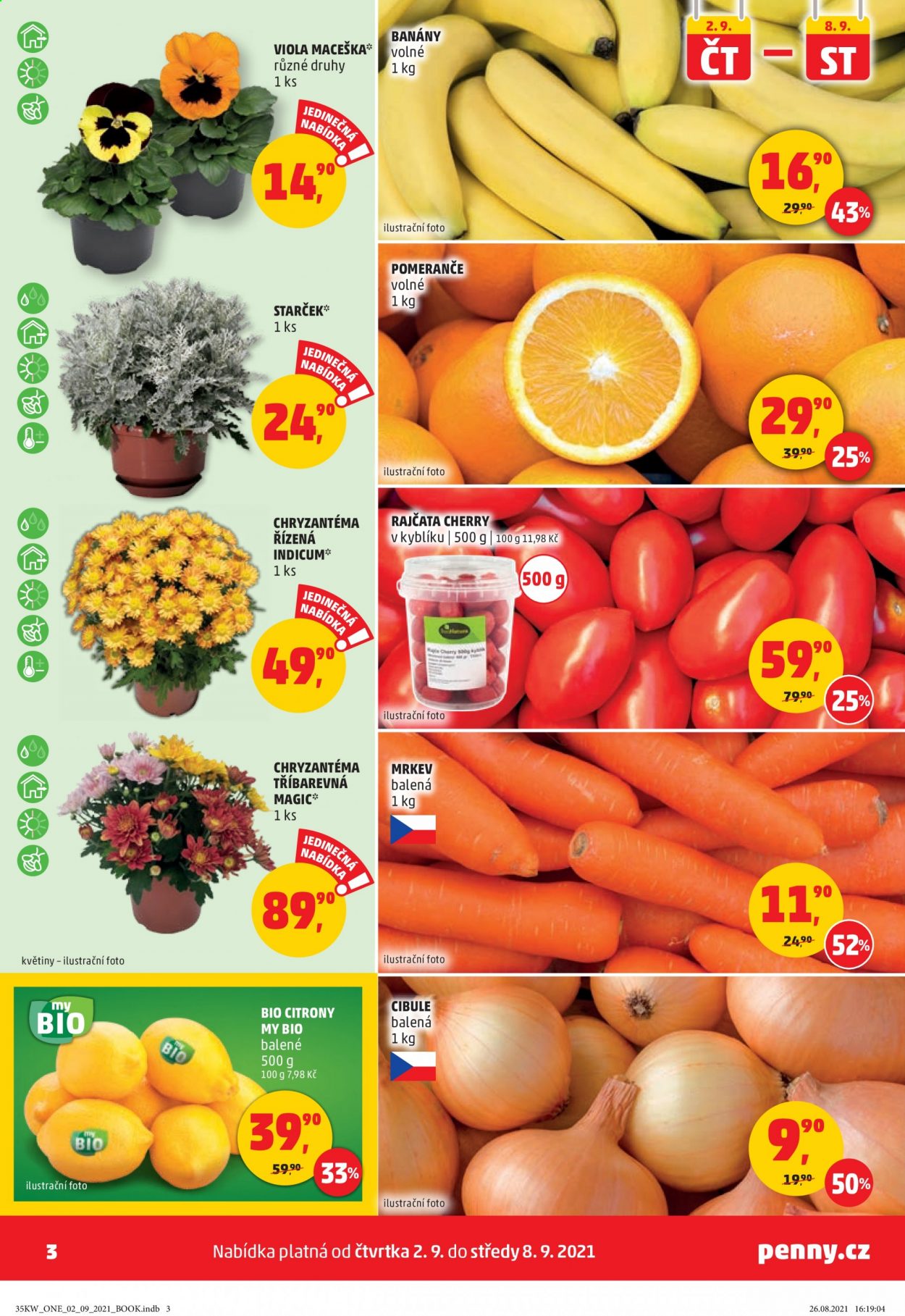 thumbnail - Leták PENNY - 2.9.2021 - 8.9.2021 - Produkty v akci - banány, maceška, pomeranče, starček, rajčata, rajčata cherry, mrkev, chryzantéma, citróny, cibule. Strana 3.