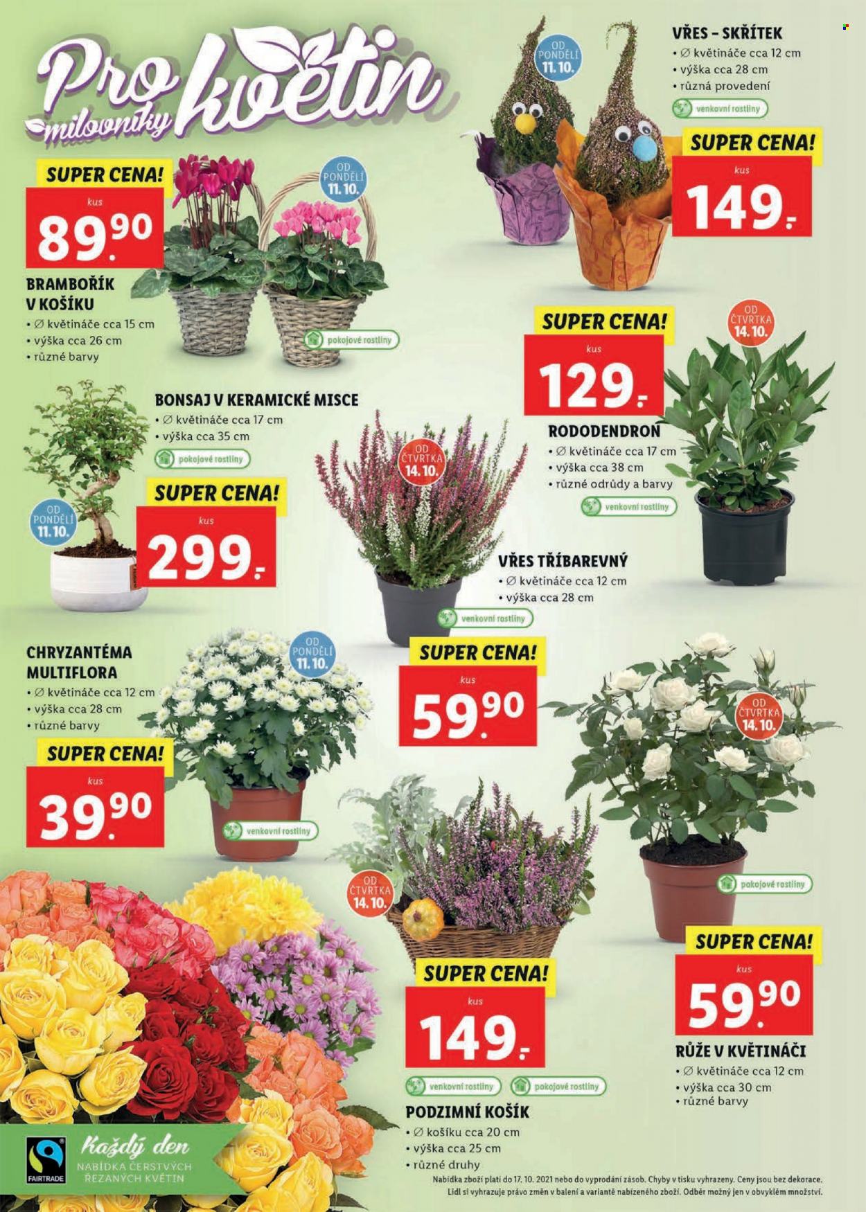 Leták Lidl - 11.10.2021 - 17.10.2021. Strana 64