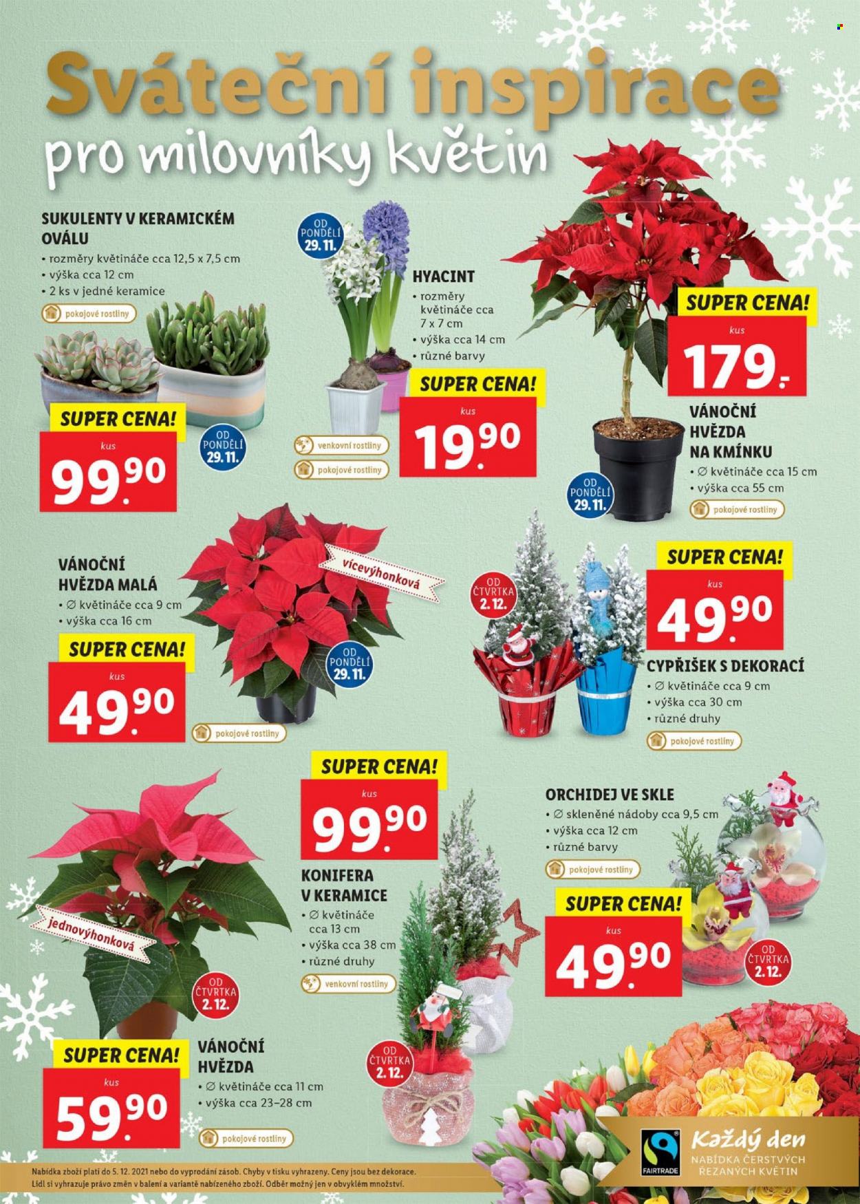 Leták Lidl - 29.11.2021 - 5.12.2021. Strana 59