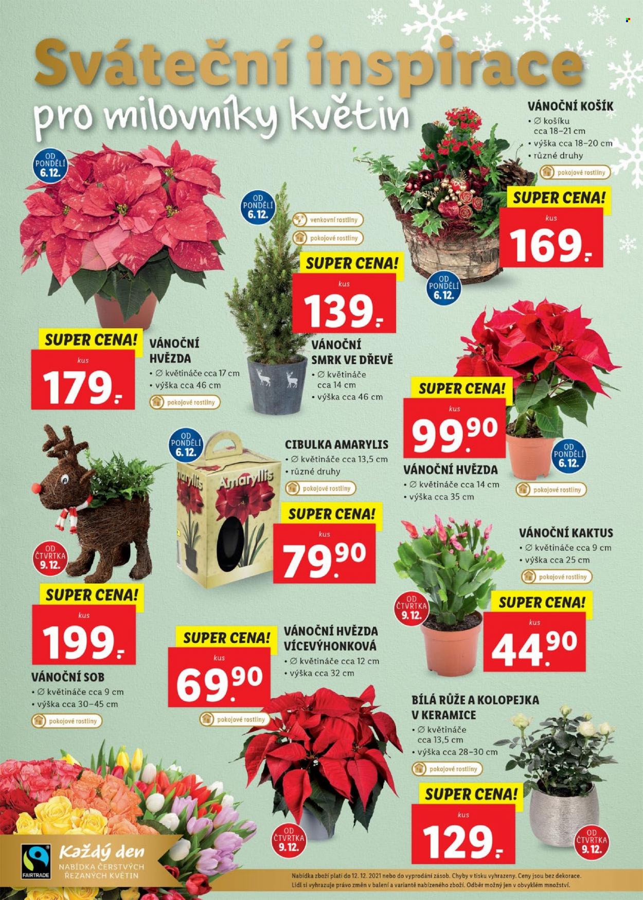 Leták Lidl - 6.12.2021 - 12.12.2021. Strana 46