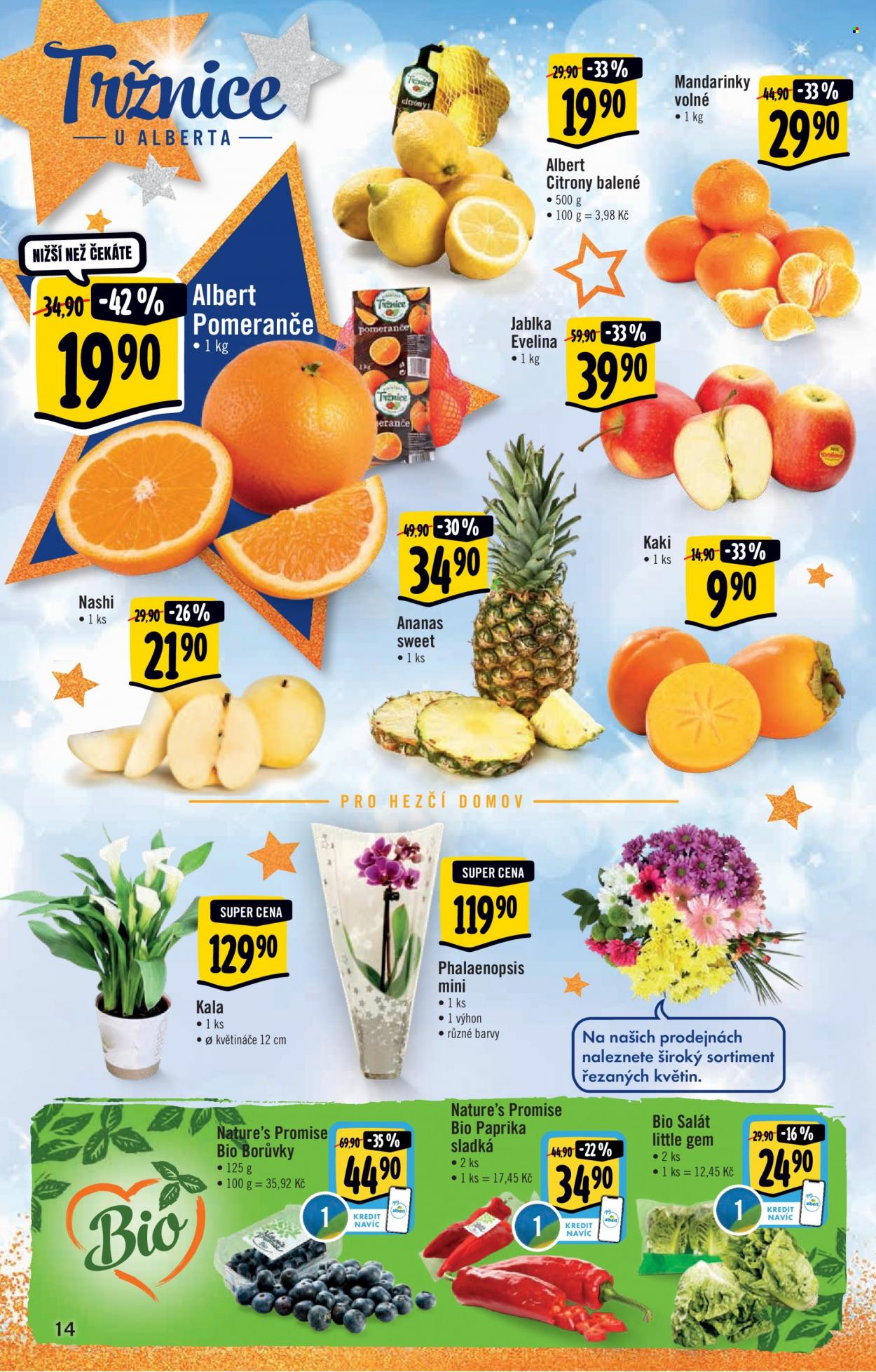 Leták Albert Hypermarket - 20.12.2021 - 24.12.2021. Strana 14