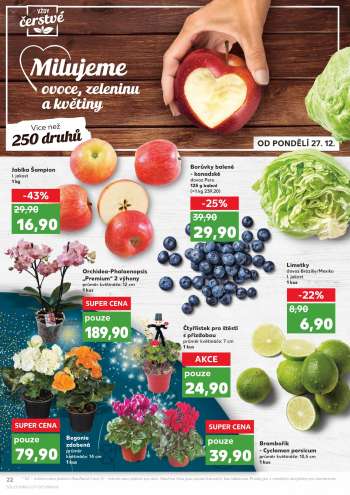 thumbnail - Brambořík - Cyclamen persicum