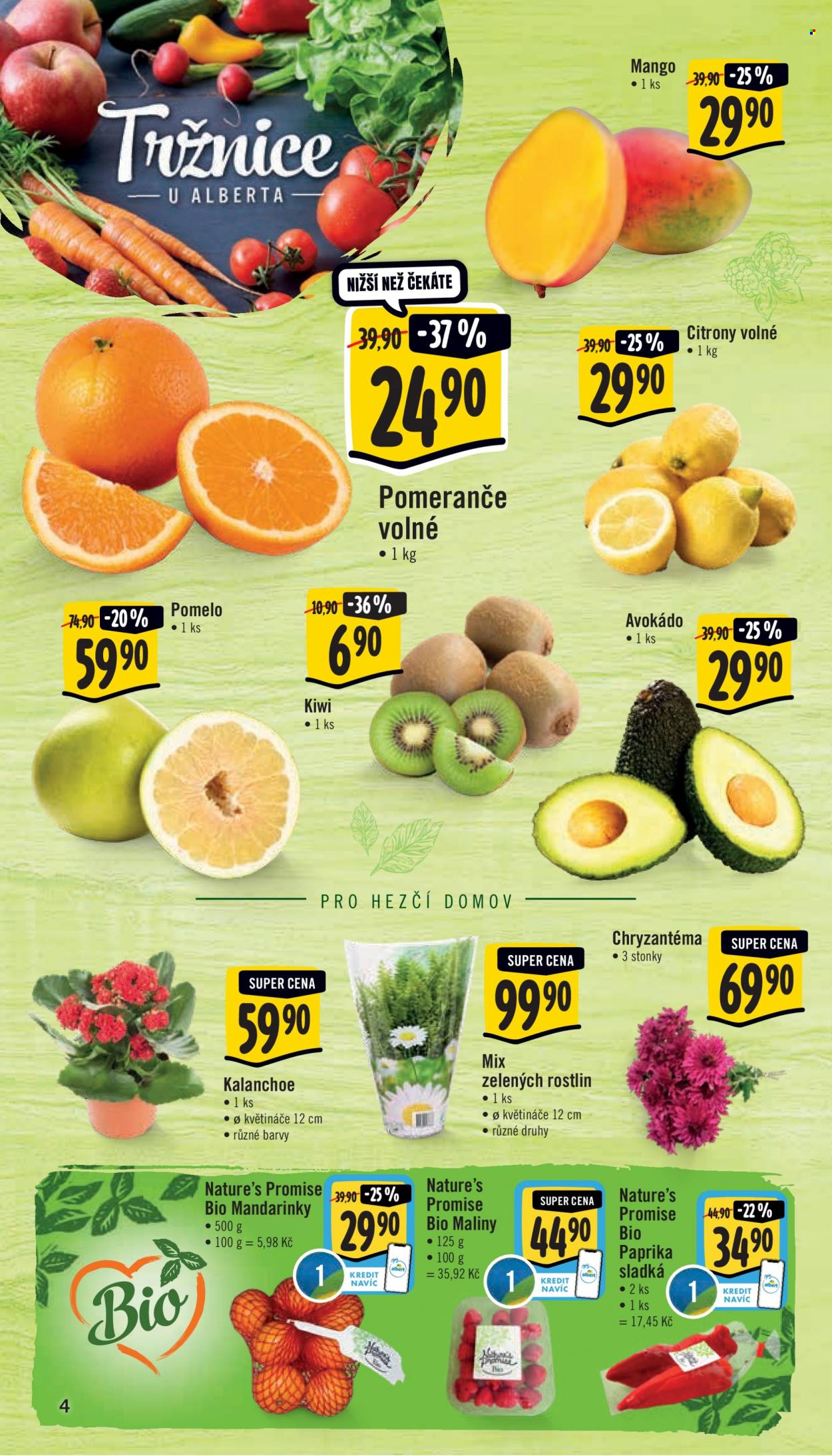 thumbnail - Leták Albert Supermarket - 3.1.2022 - 11.1.2022 - Produkty v akci - mango, citróny, pomeranče, kiwi, pomelo, avokádo, chryzantéma, mix rostlin, kalanchoe, mandarinky, maliny, Nature's Promise, paprika, paprika sladká. Strana 4.