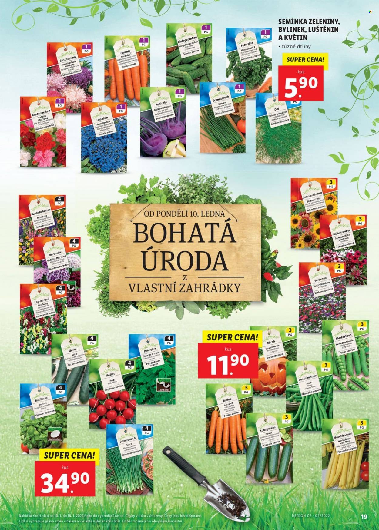 Leták Lidl - 10.1.2022 - 16.1.2022. Strana 19