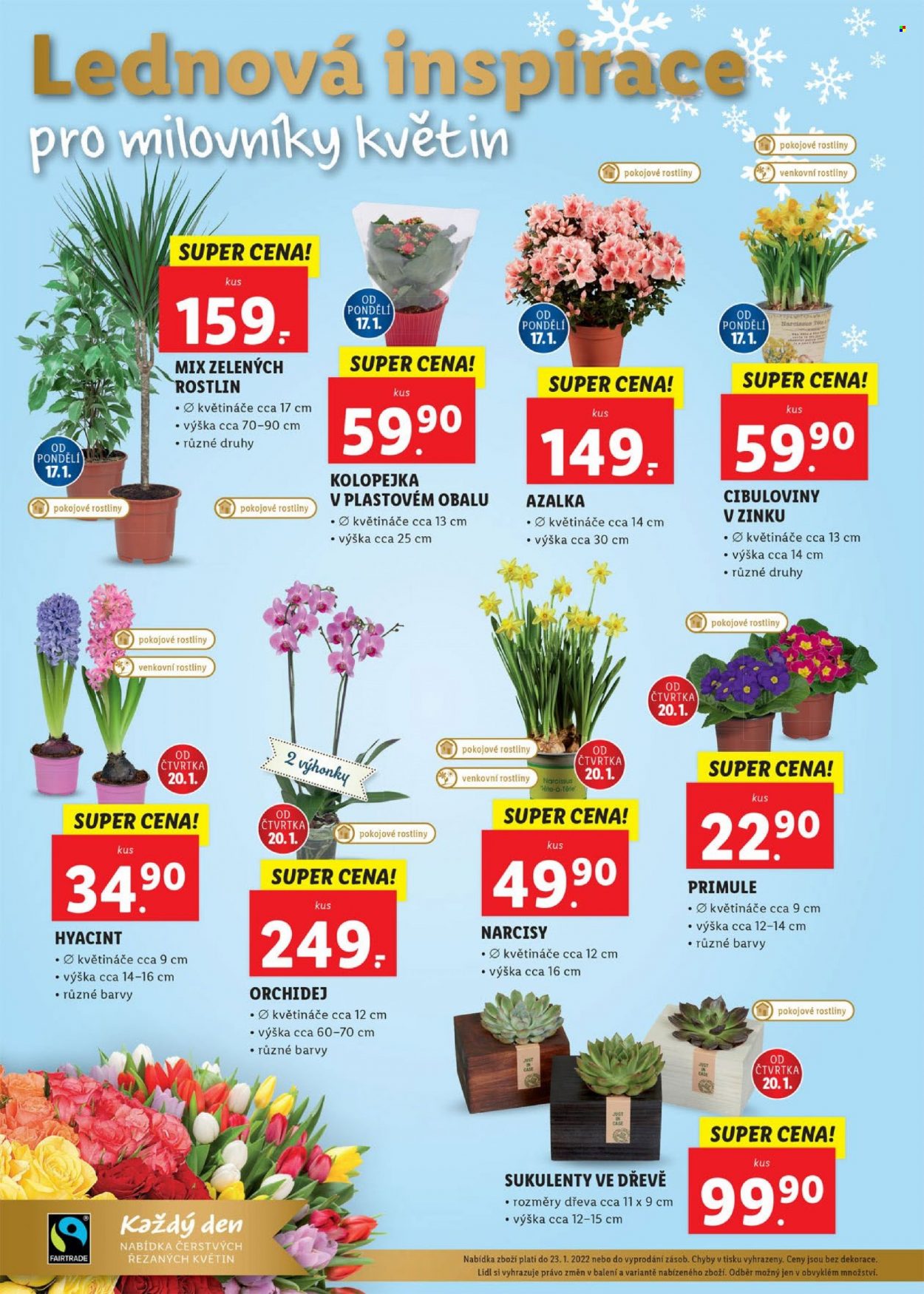 Leták Lidl - 17.1.2022 - 23.1.2022. Strana 42