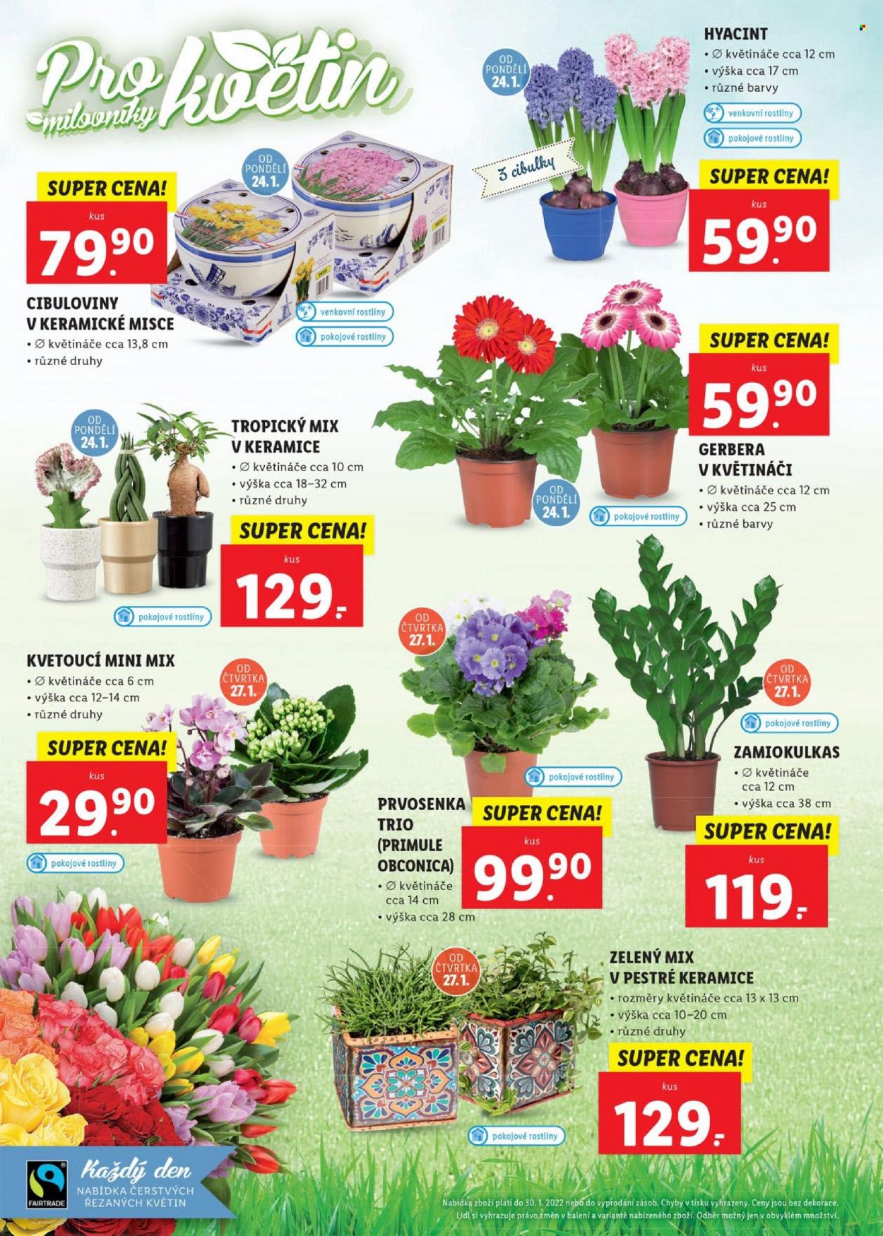 Leták Lidl - 24.1.2022 - 30.1.2022. Strana 20