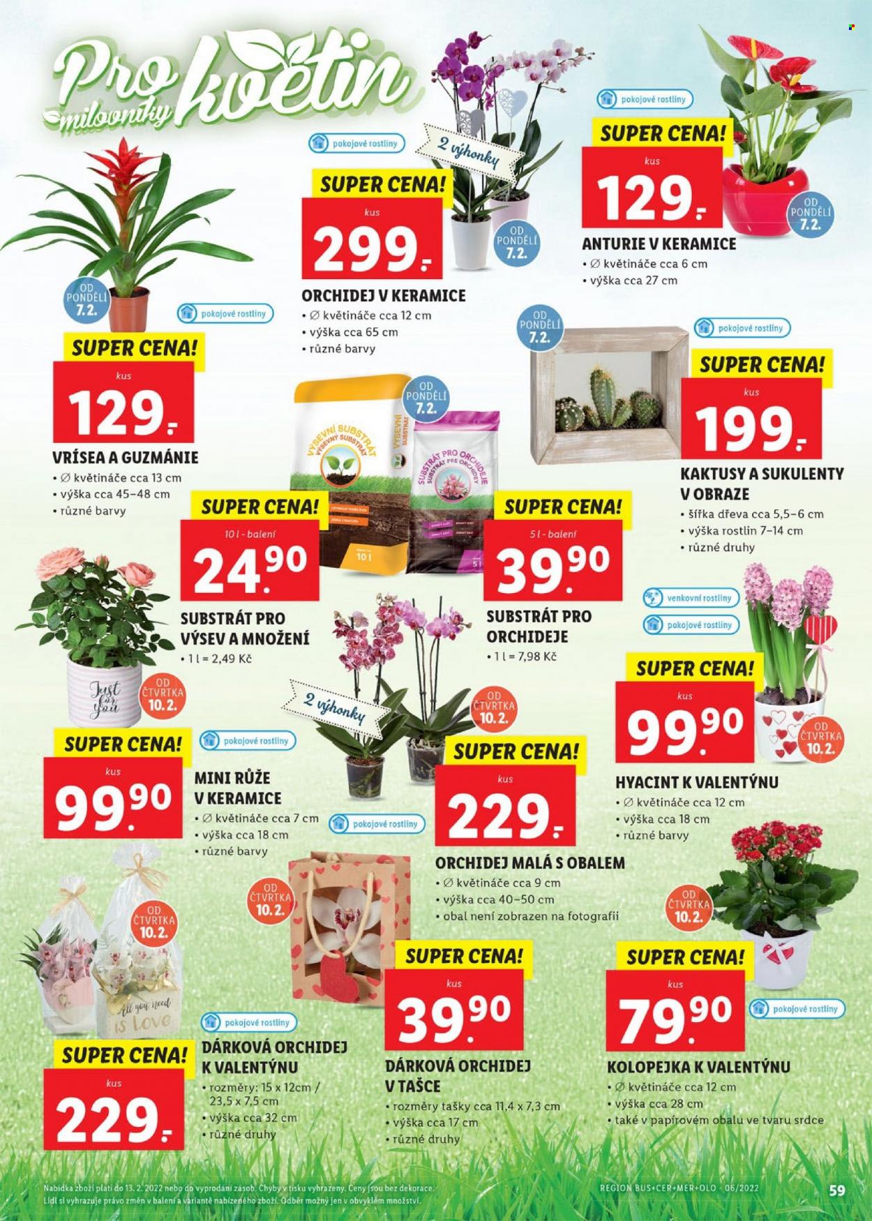 Leták Lidl - 7.2.2022 - 13.2.2022. Strana 59