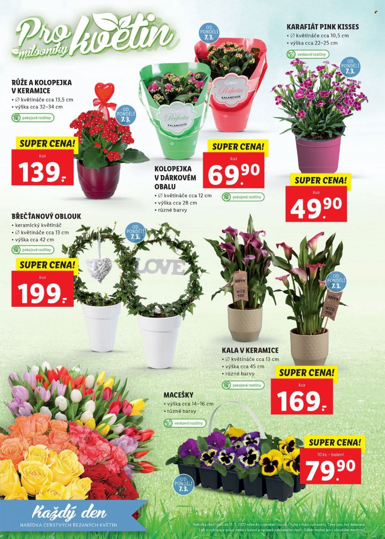 Leták Lidl - 7.3.2022 - 13.3.2022. Strana 42