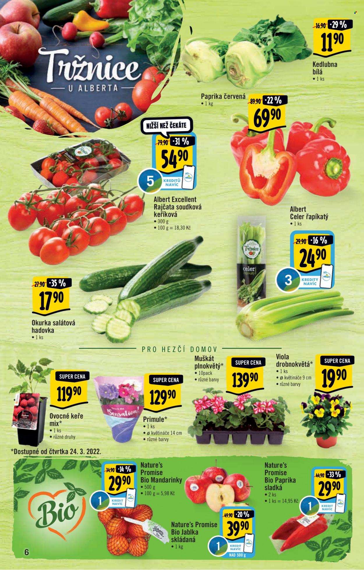 Leták Albert Hypermarket - 23.3.2022 - 29.3.2022. Strana 6