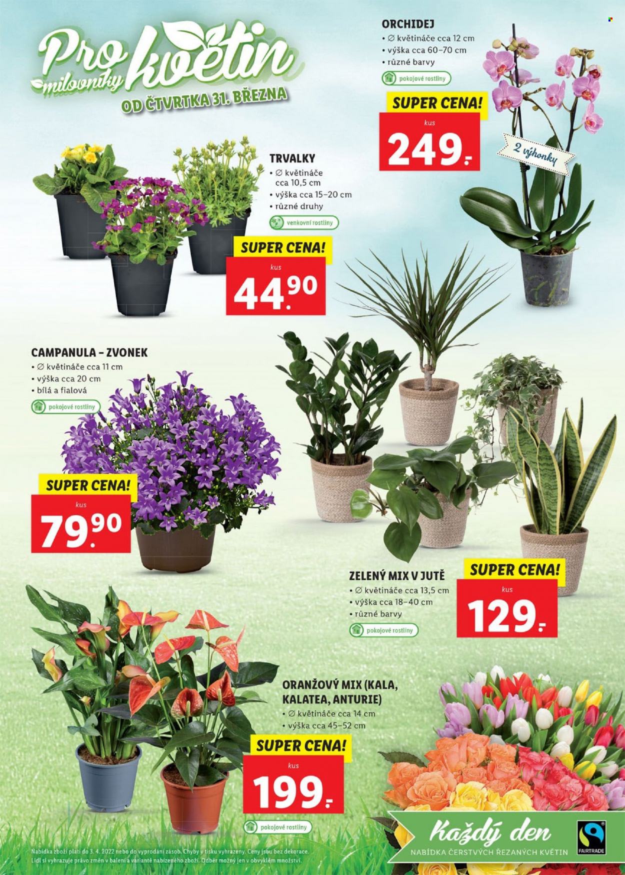 Leták Lidl - 28.3.2022 - 3.4.2022. Strana 43