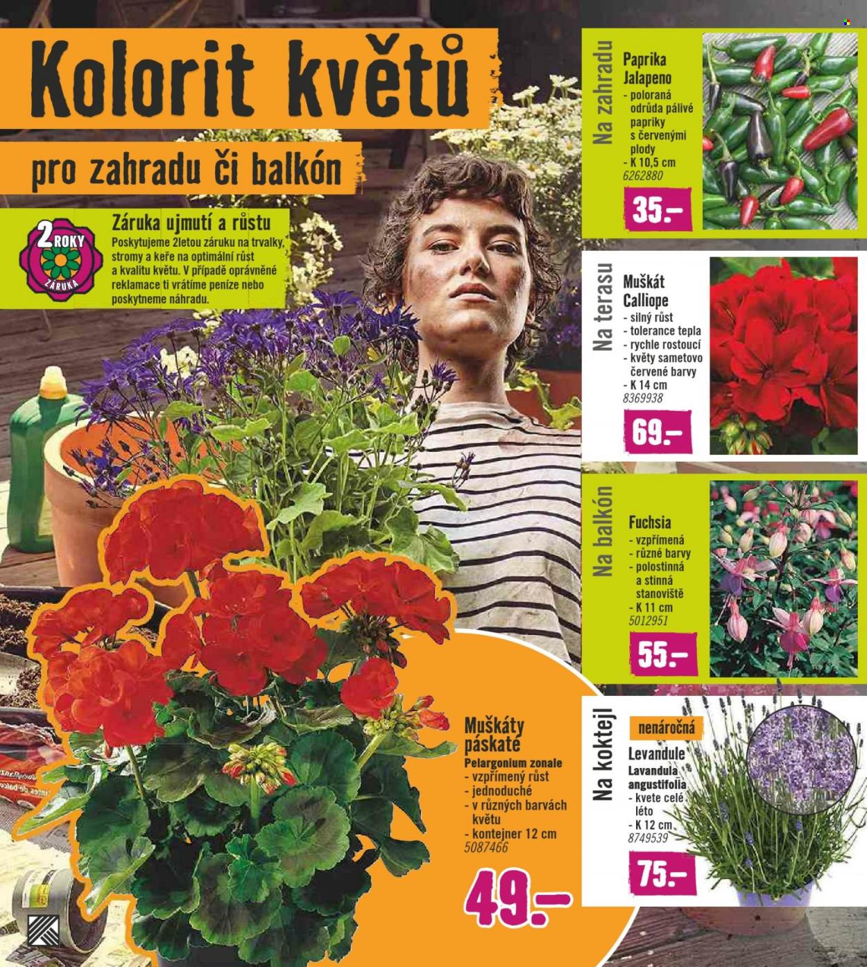 Leták HORNBACH - 30.3.2022 - 26.4.2022. Strana 8