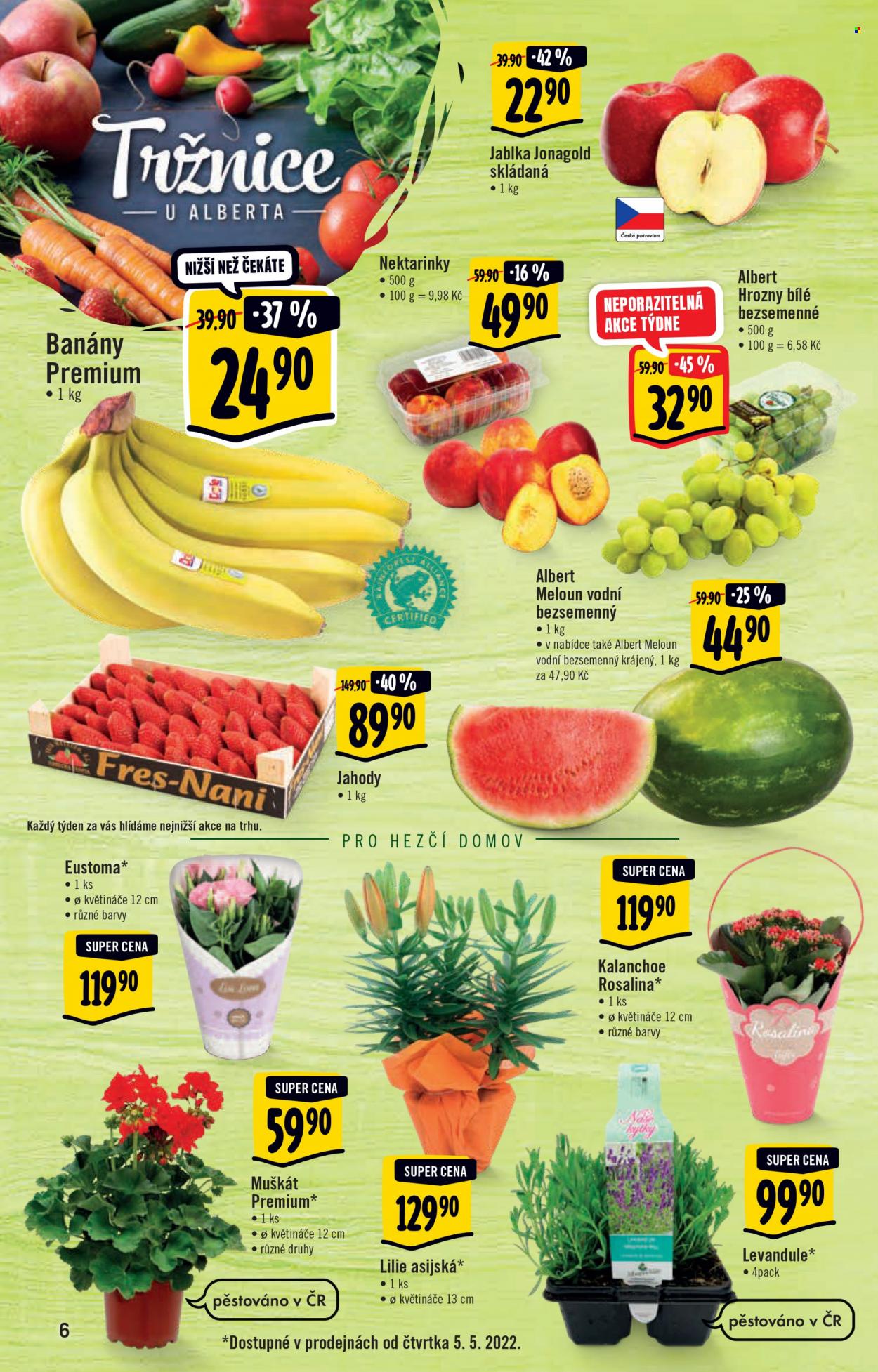 Leták Albert Hypermarket - 4.5.2022 - 10.5.2022. Strana 6