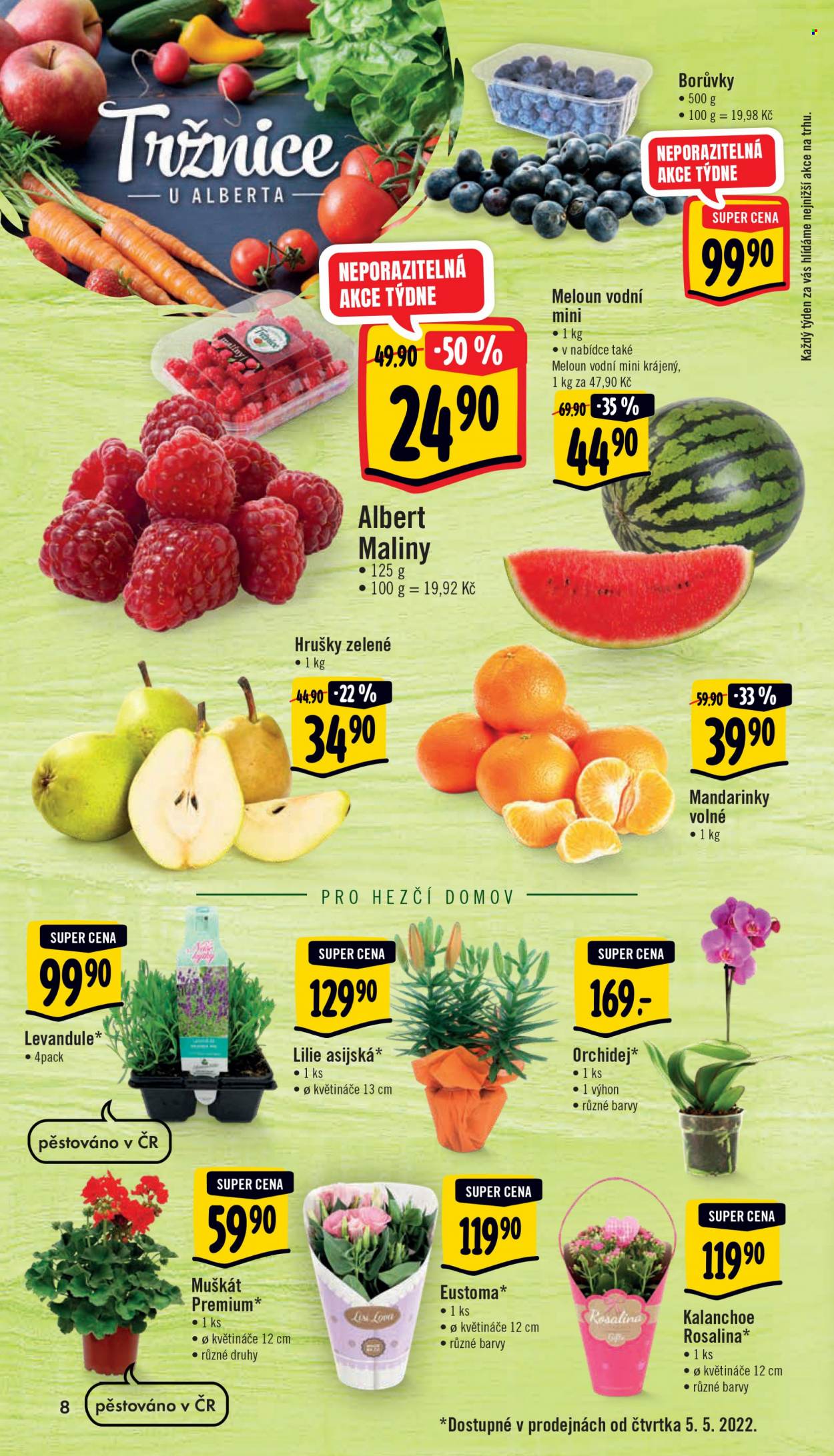 Leták Albert Supermarket - 4.5.2022 - 10.5.2022. Strana 8