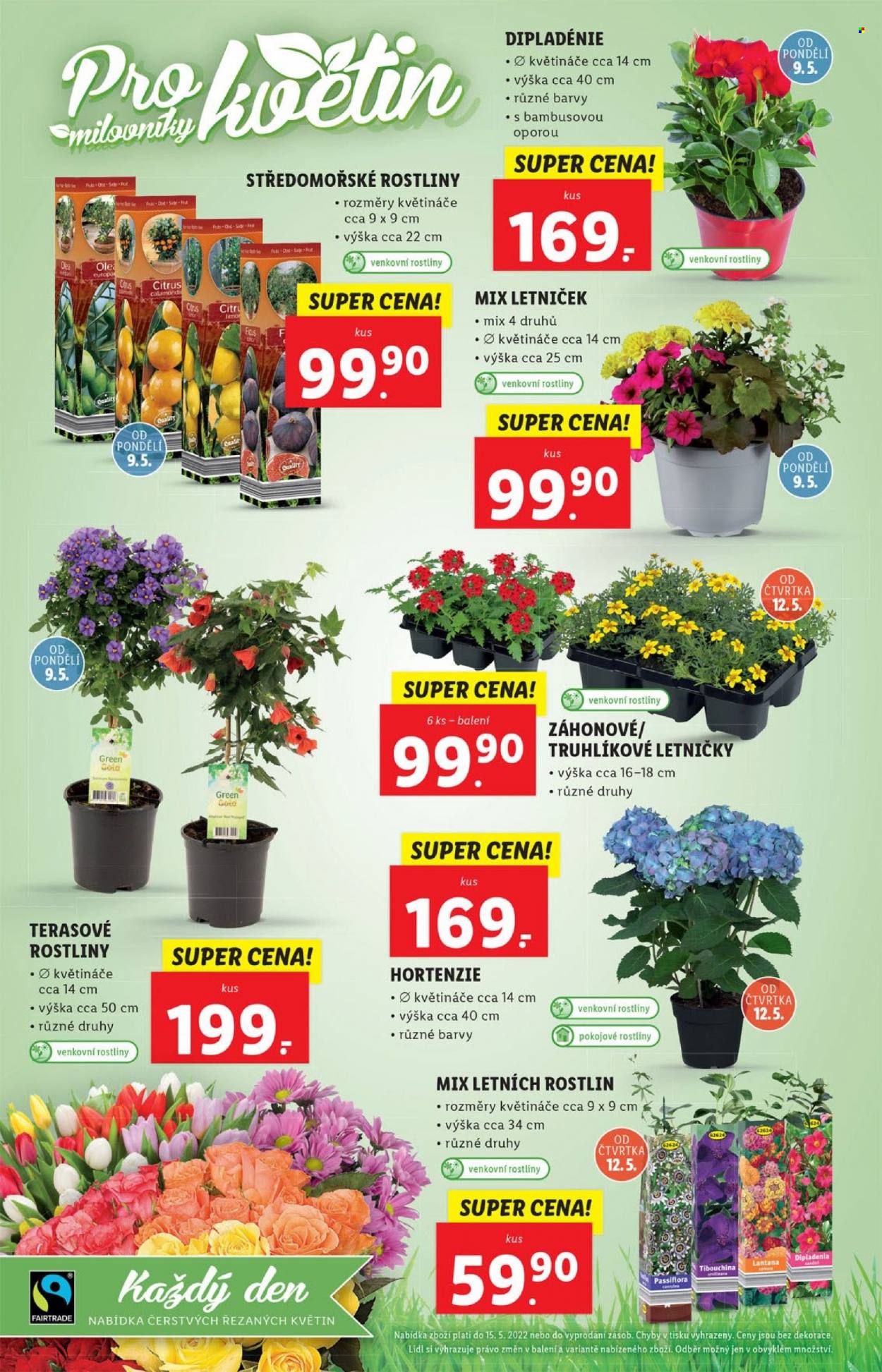 Leták Lidl - 9.5.2022 - 15.5.2022. Strana 56