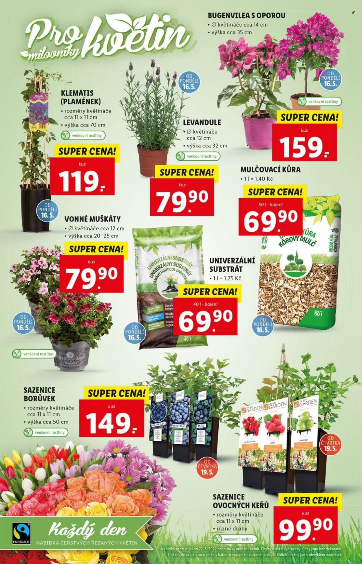 Leták Lidl - 16.5.2022 - 22.5.2022. Strana 38