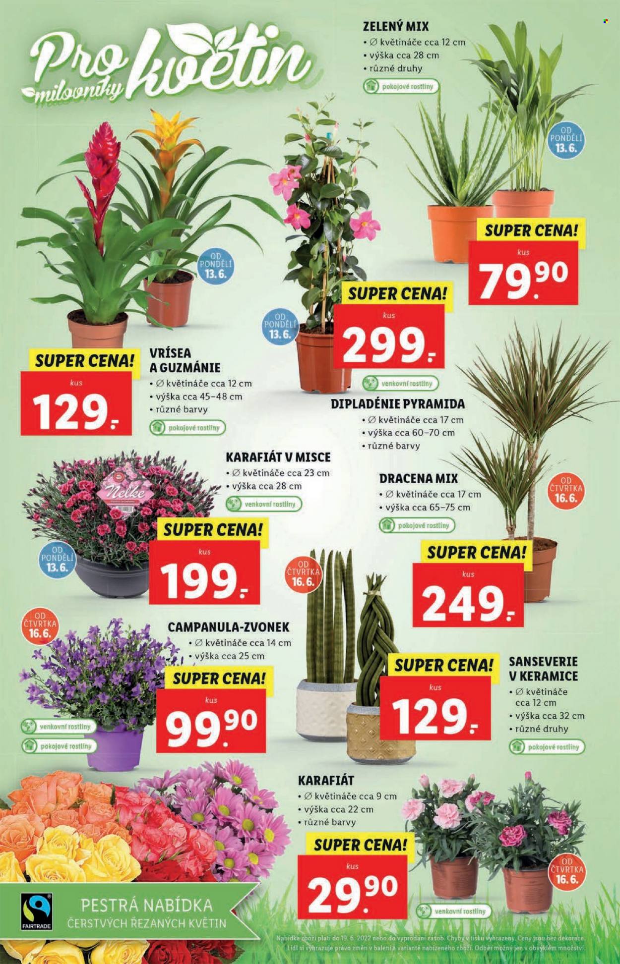 Leták Lidl - 13.6.2022 - 19.6.2022. Strana 56