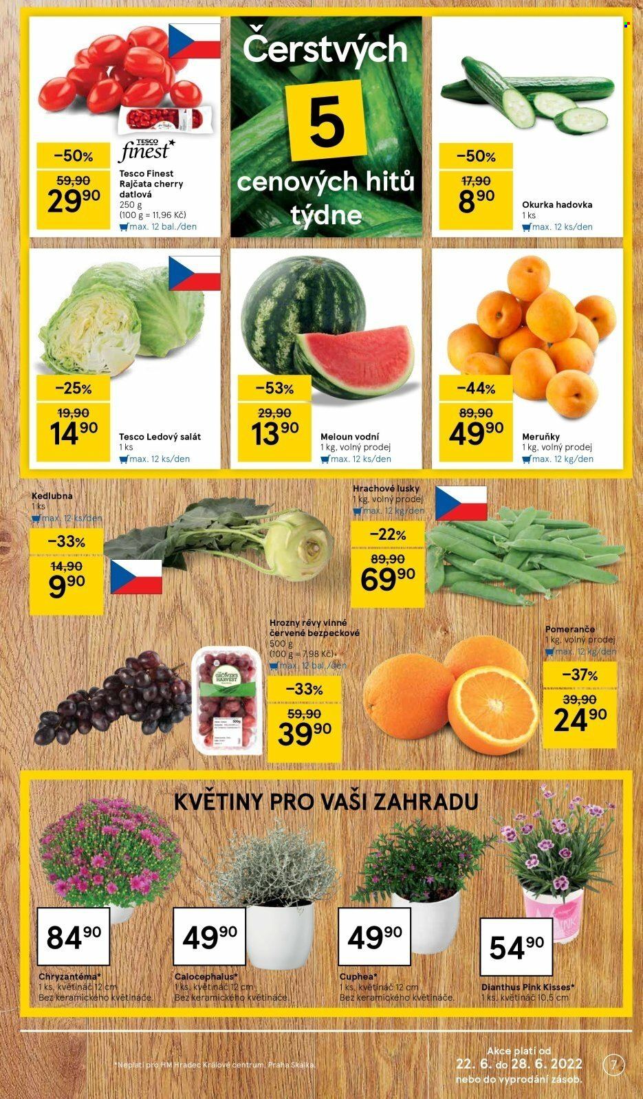Leták TESCO - 22.6.2022 - 28.6.2022. Strana 7