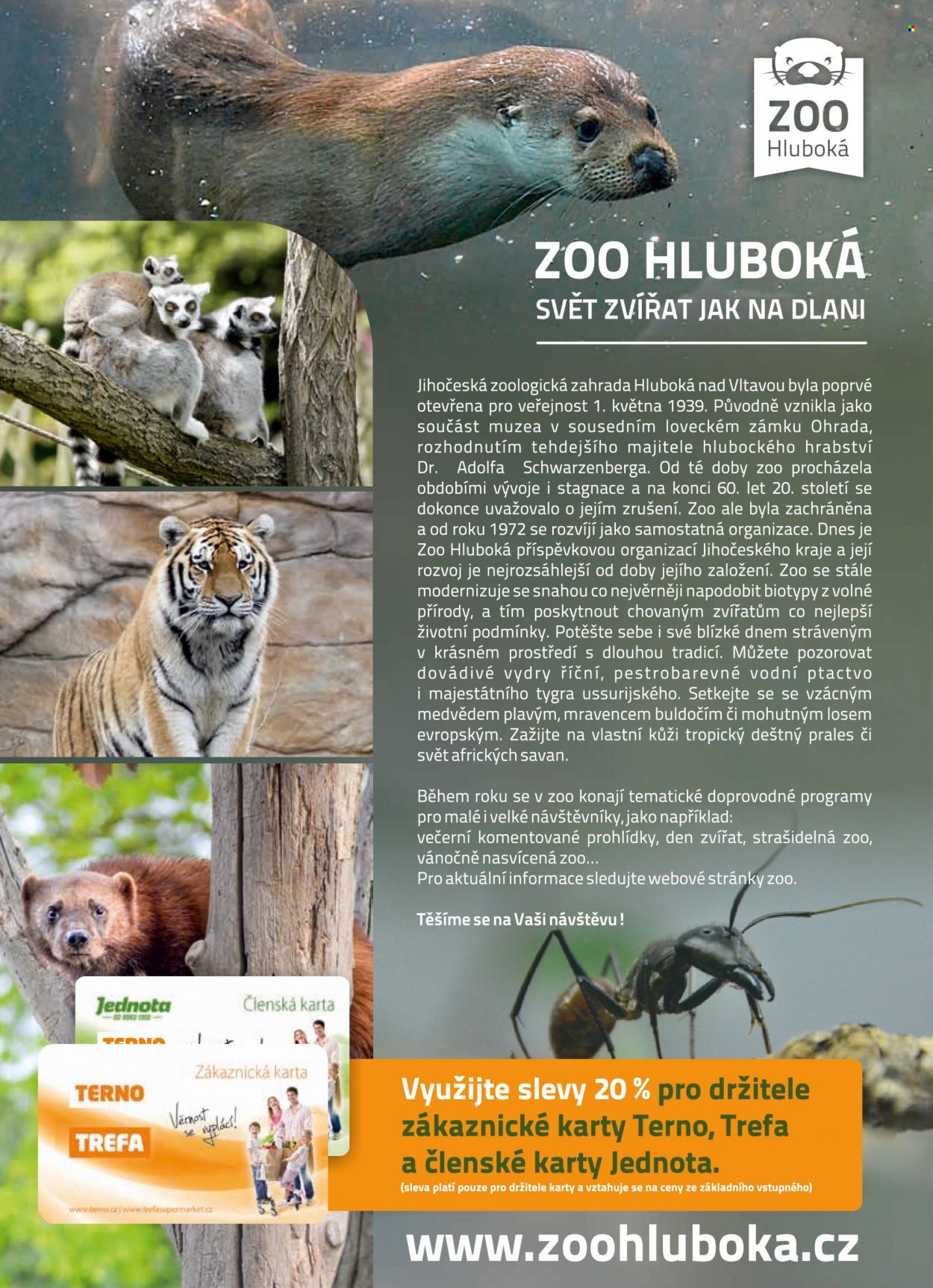 Leták TREFA coop - 22.6.2022 - 28.6.2022. Strana 12