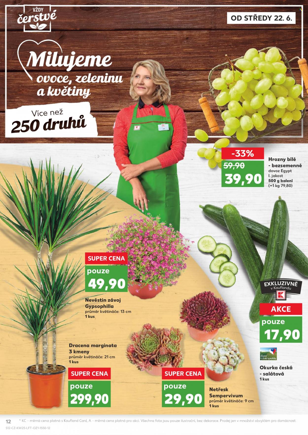 Leták Kaufland - 22.6.2022 - 28.6.2022. Strana 12